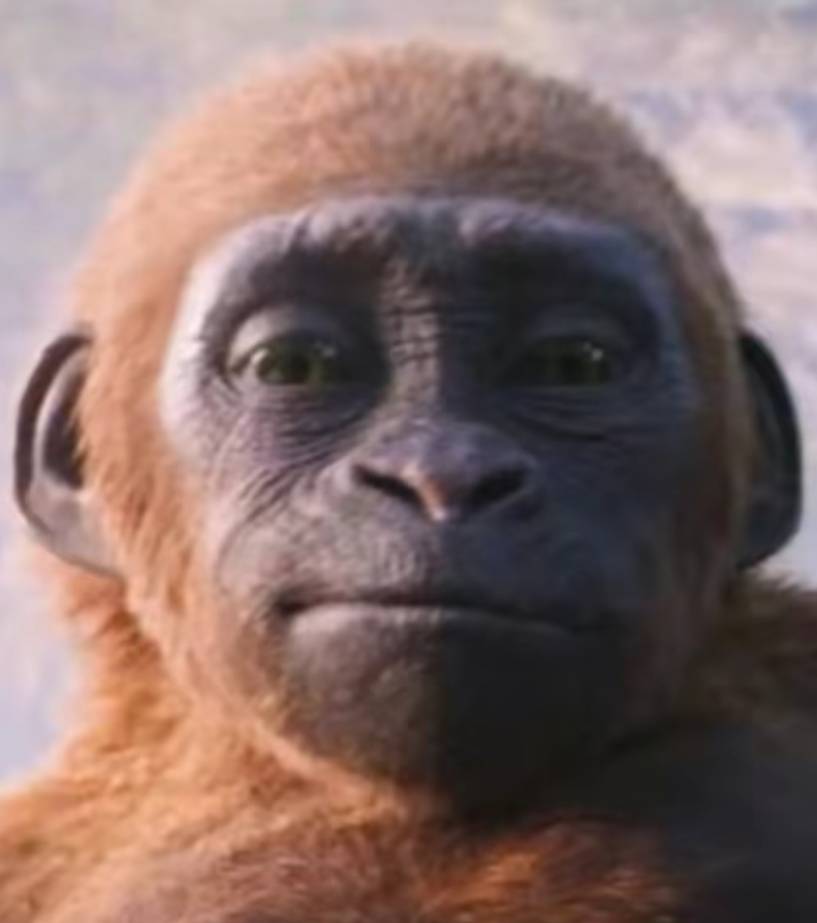 湖北这个是全国可用吗？
还是只能湖北地区？

36 / 作者:猴子打野一哥 / 