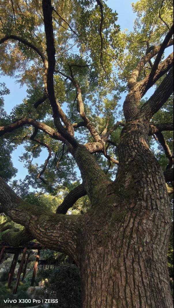 来个老哥教教信用卡怎么飞，安排可乐

4 / 作者:小小年纪小区 / 