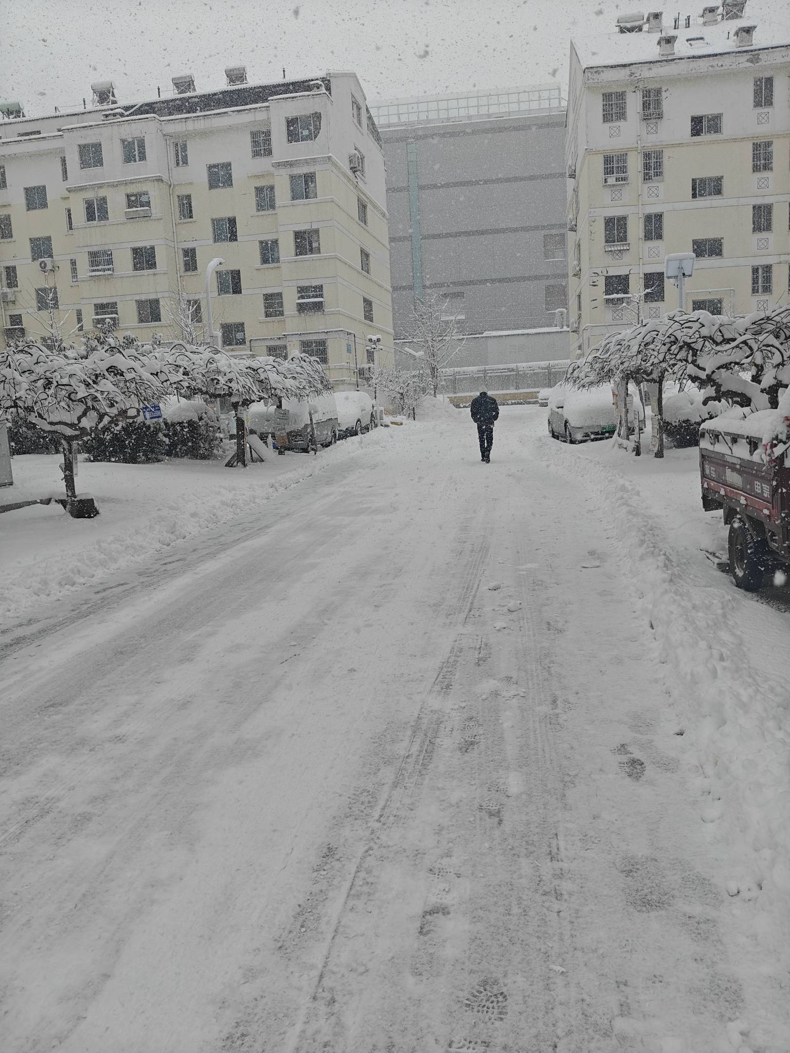 5块钱一单，跑个蛋，还在下

25 / 作者:雾行 / 