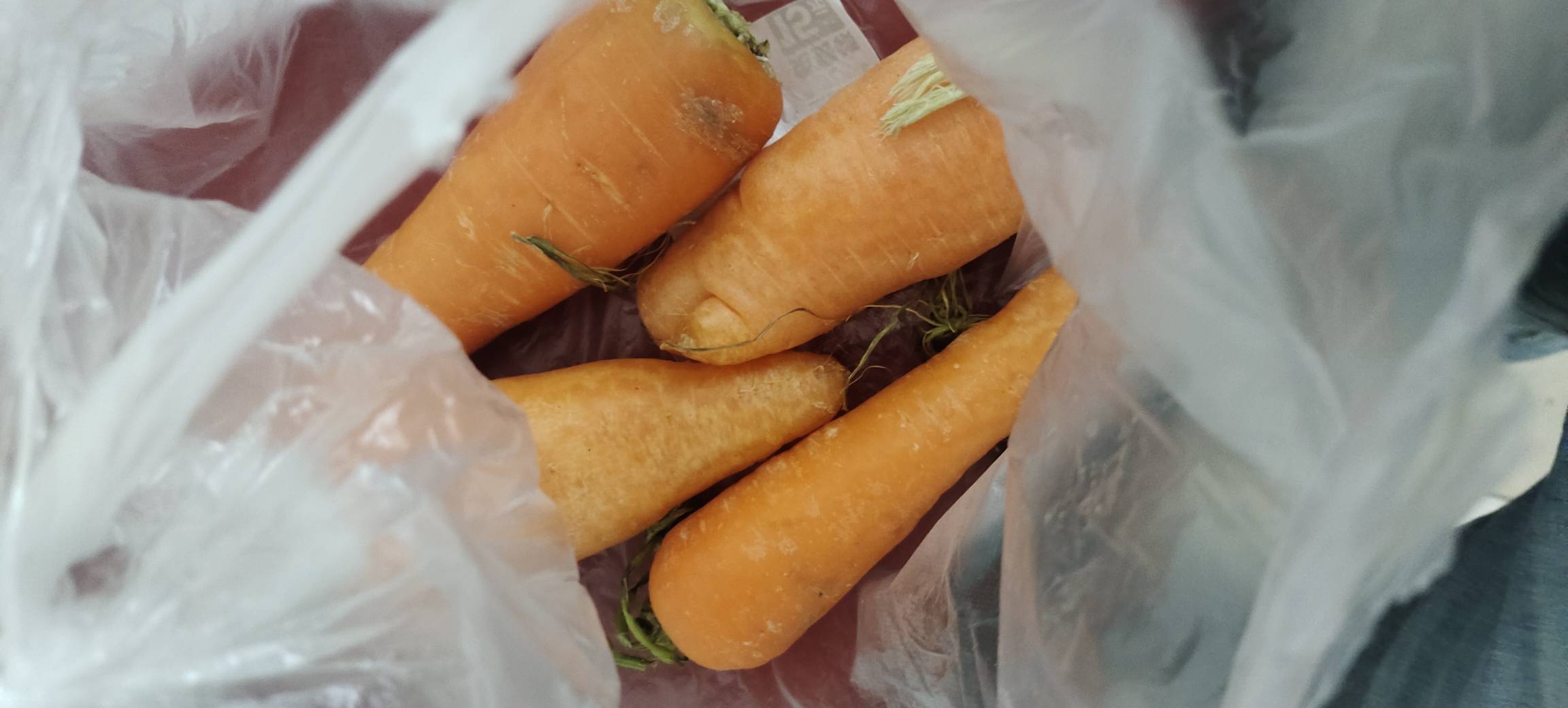 搞不到米了，只能拿萝卜当饭啃了

9 / 作者:扛不住了老哥们 / 