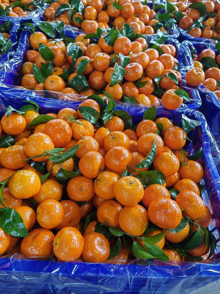 老哥，吃水果吗？广鸡水果超级便宜，根本吃不完



85 / 作者:果然一道 / 