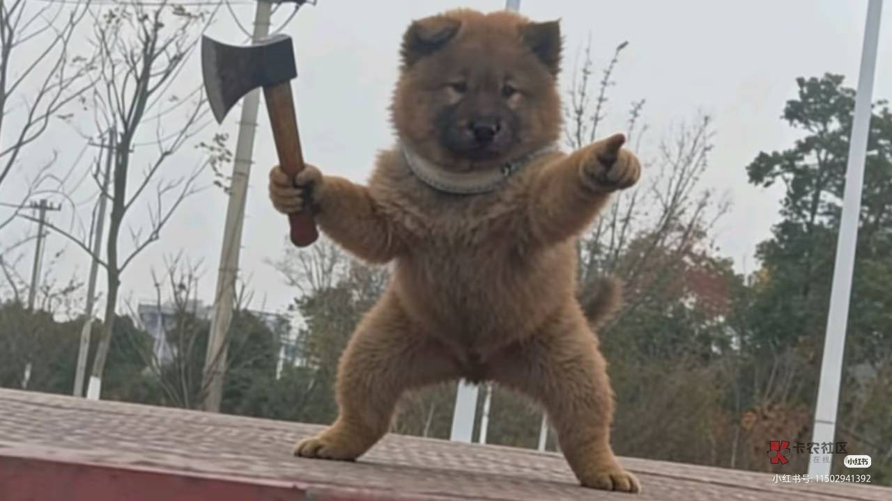 10后都出来工作了，我这80后还在外面找工作，这是不是有点太落后了

27 / 作者:39岁挂壁老大哥 / 