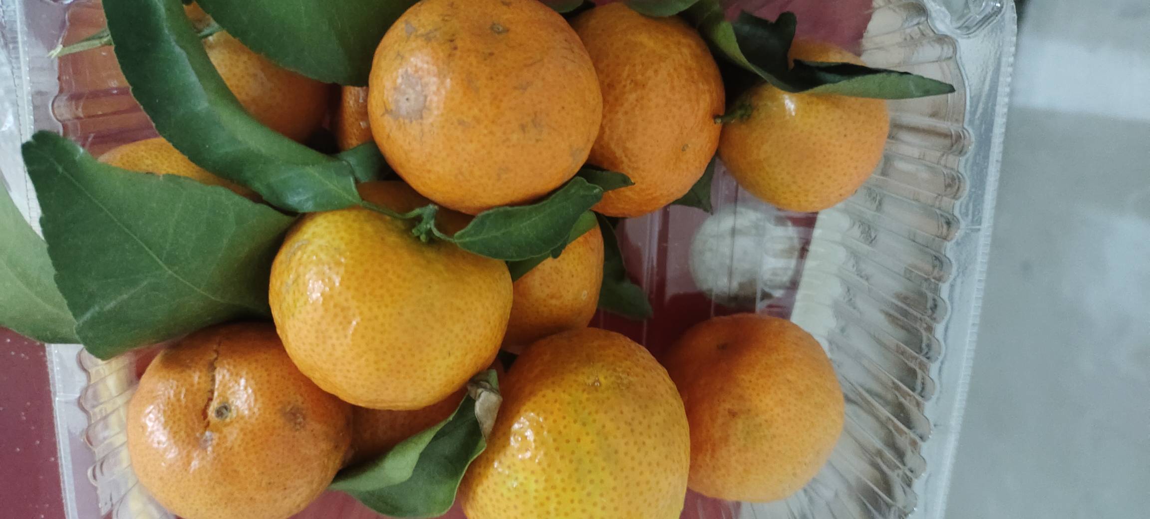 感谢饿了么赞助的1.2块水果

30 / 作者:扛不住了老哥们 / 