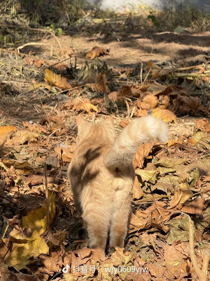 老哥们，中行哪里毛多，只去过甘苏

71 / 作者:耕瘦田 / 