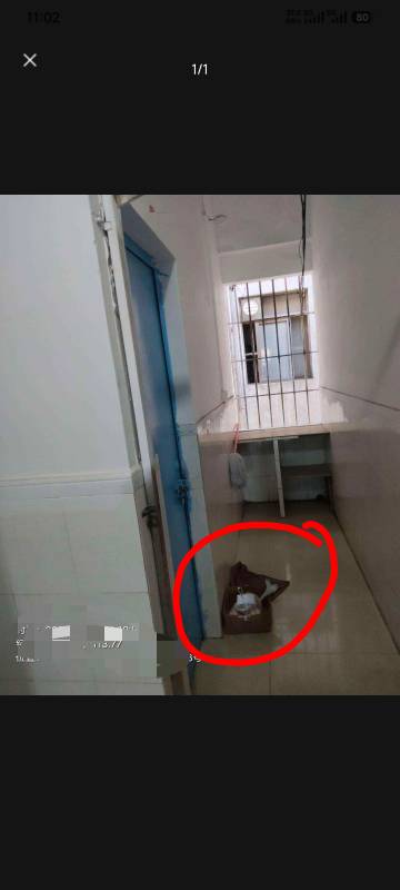 老哥们，前几天我发了个帖子说京东外卖员把外卖放在门口垃圾箱里，我就在卡农发了，没40 / 作者:卡农豆包 / 