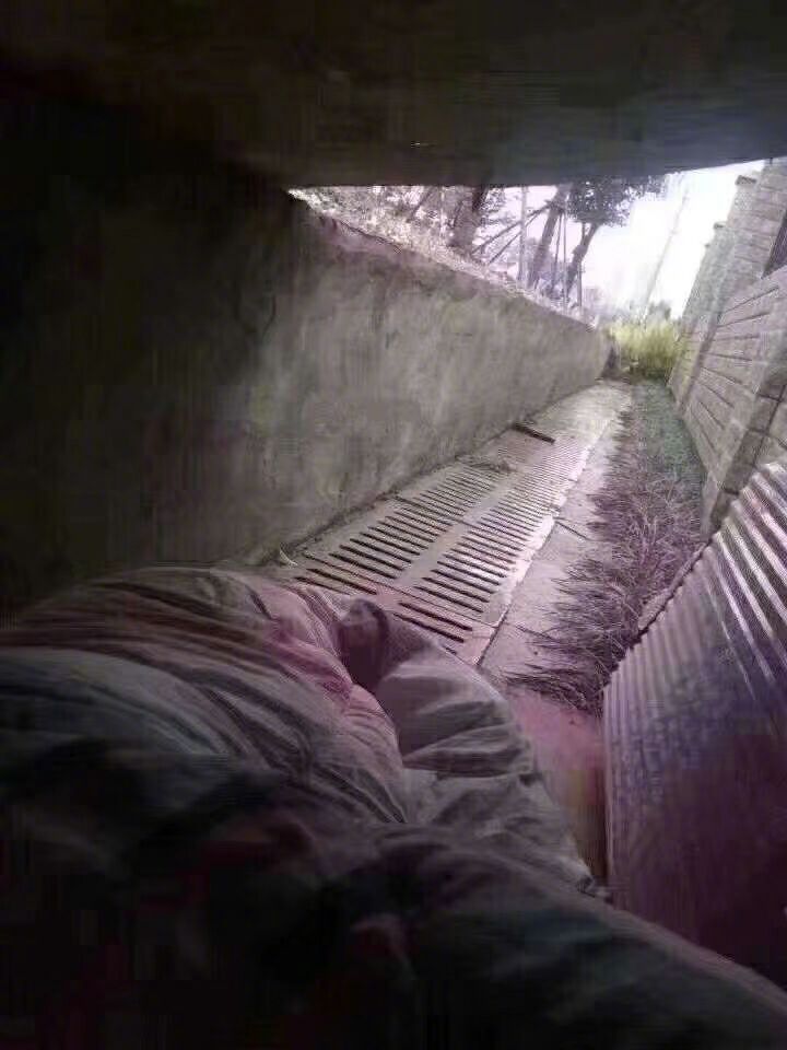 马b大地方的难预约咯，估计小地方有点机会，就怕外面全是科技！

33 / 作者:天桥下面好冷 / 