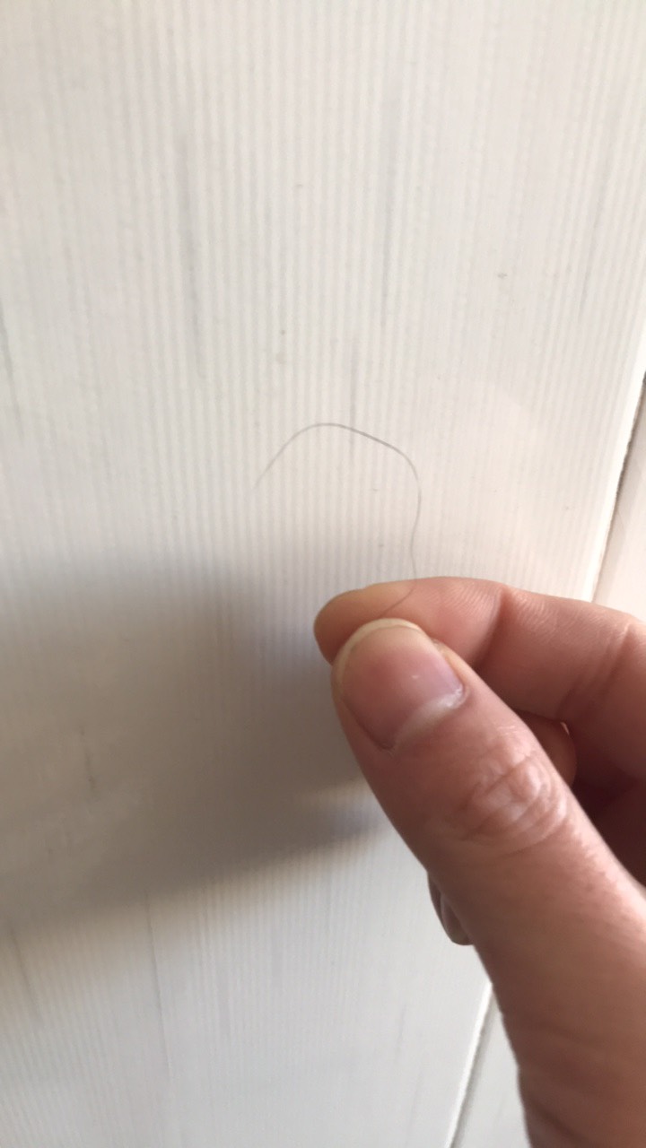 有毛吗，老哥们。
30 / 作者:卡农恶霸 / 