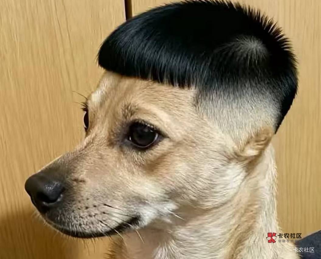 估计今年钞会破发，真的去拿？来回路费都40了。币没约到就一T钞，不知道要不要去拿，14 / 作者:情有独钟。 / 