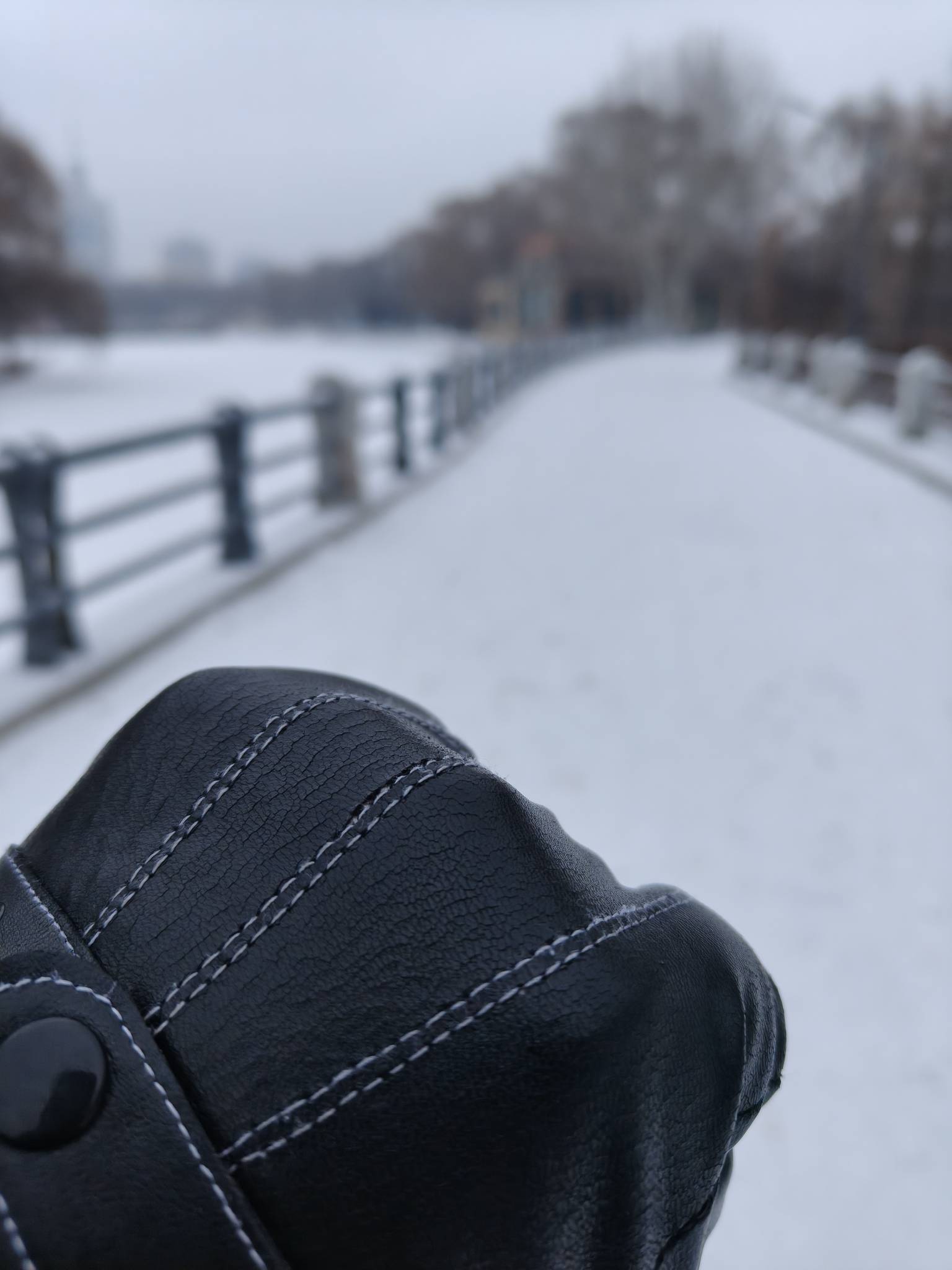 睡醒白茫茫一片，这大雪让我这个挂壁仔难上加难啊



20 / 作者:番茄炒土豆 / 