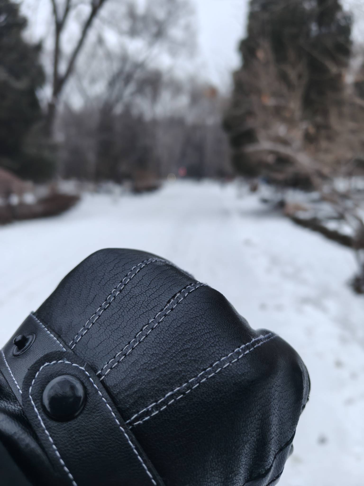 睡醒白茫茫一片，这大雪让我这个挂壁仔难上加难啊



82 / 作者:番茄炒土豆 / 