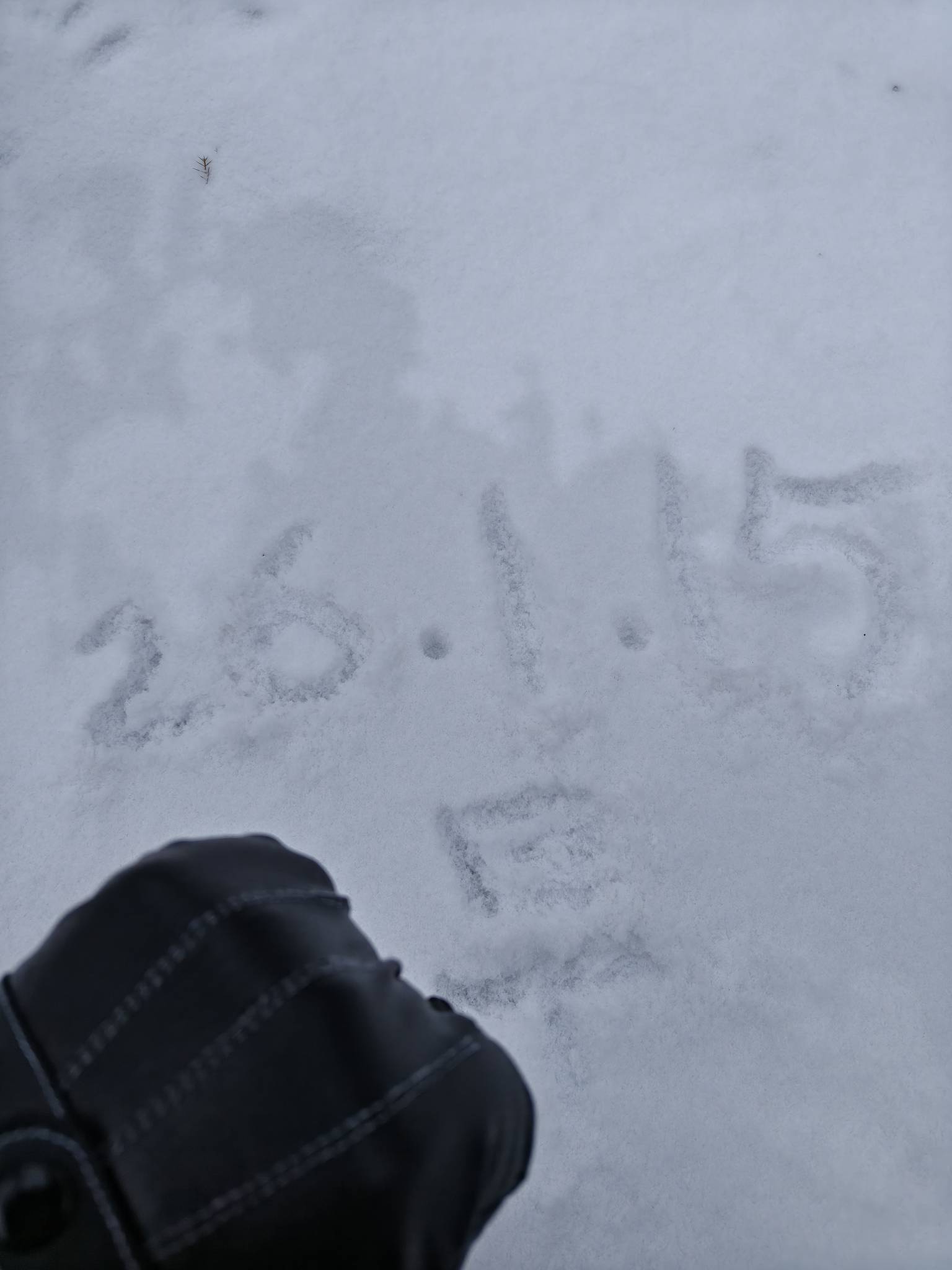 睡醒白茫茫一片，这大雪让我这个挂壁仔难上加难啊



5 / 作者:番茄炒土豆 / 