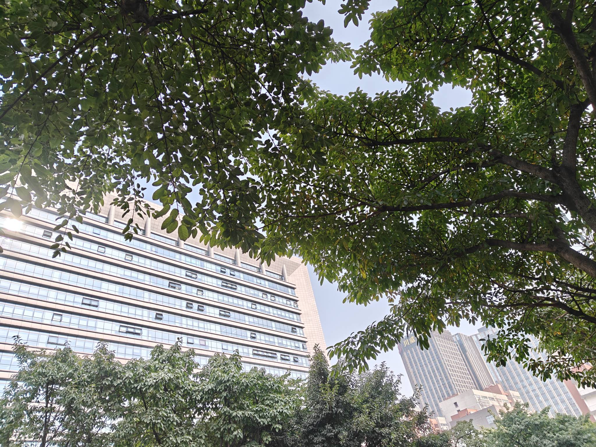 今天发工资！！欧耶！！！今天发工资！！一定戒，必须戒，肯定戒！！！欧耶

96 / 作者:黑鬼儿 / 