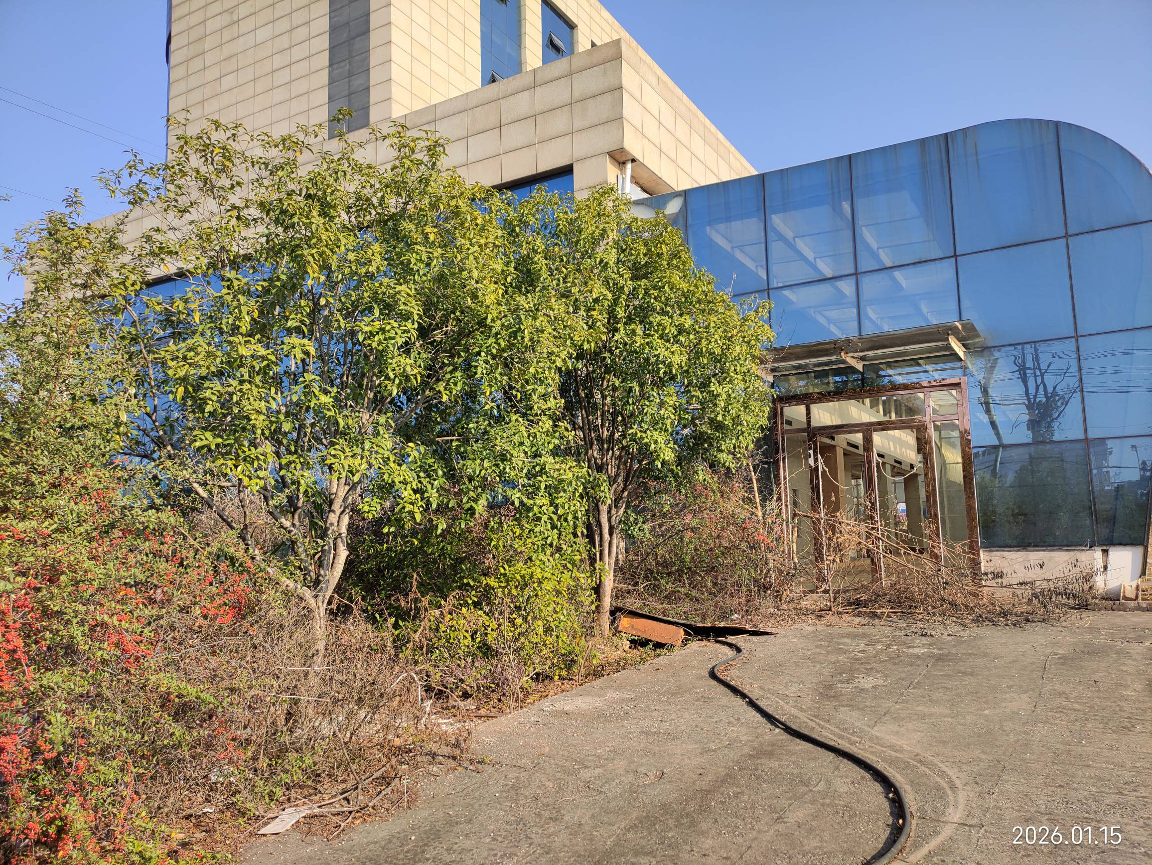 老哥们，又来到两年前的瘫痪圣地，今天故地重游，已经破烂不堪杂草重生，这栋废弃的楼84 / 作者:红菜苔 / 