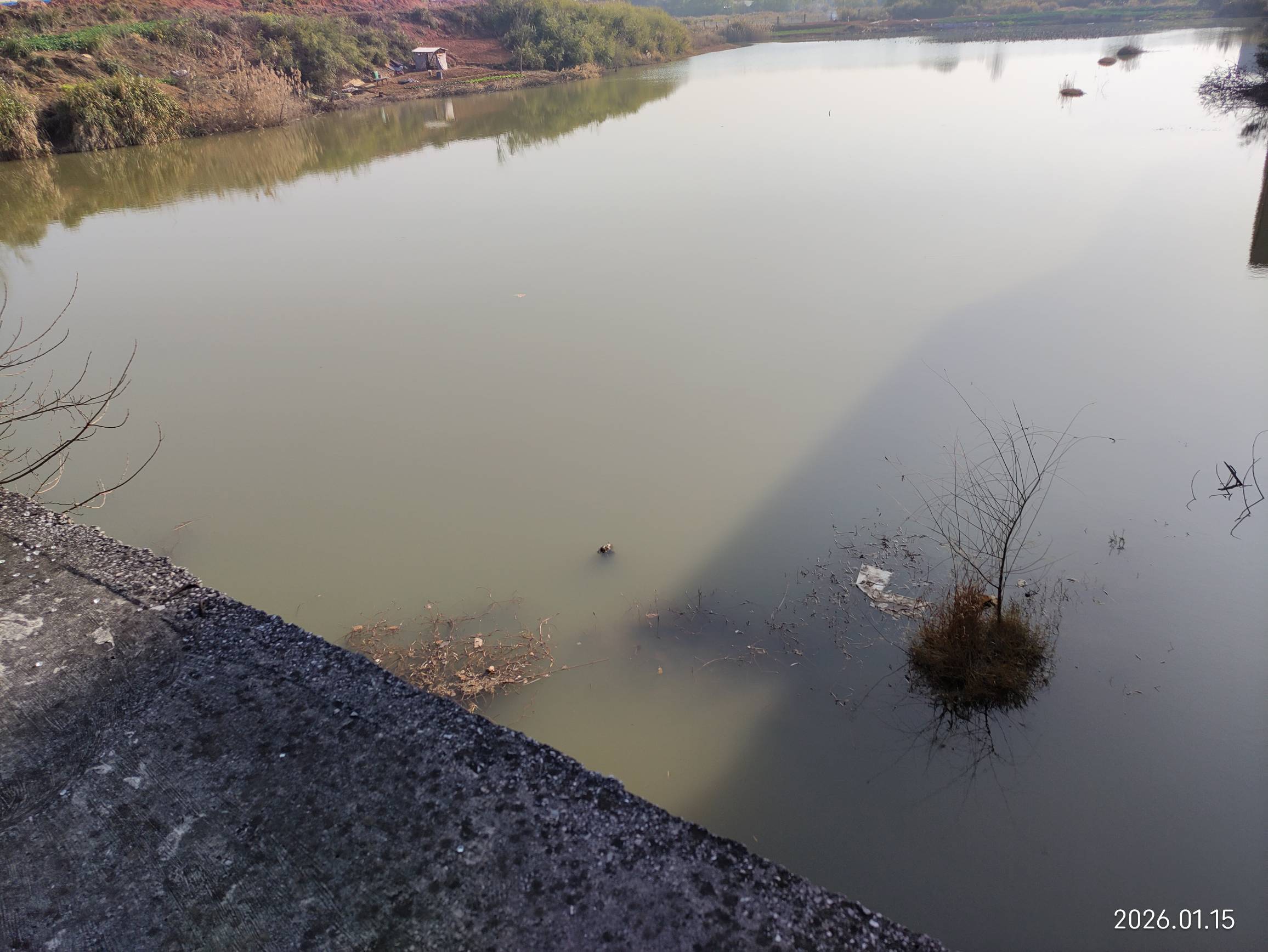 老哥们，又来到两年前的瘫痪圣地，今天故地重游，已经破烂不堪杂草重生，这栋废弃的楼84 / 作者:红菜苔 / 