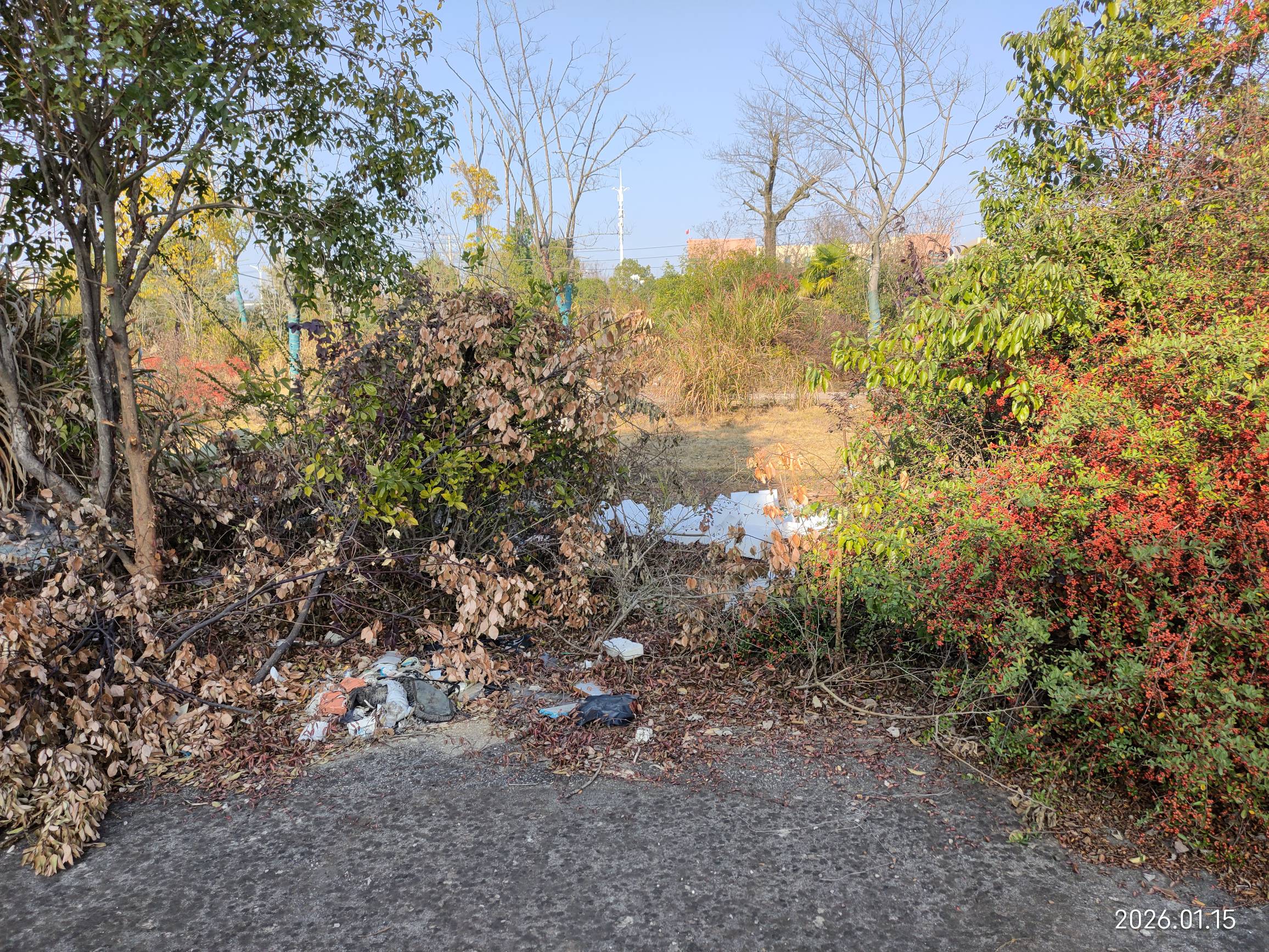 老哥们，又来到两年前的瘫痪圣地，今天故地重游，已经破烂不堪杂草重生，这栋废弃的楼96 / 作者:红菜苔 / 