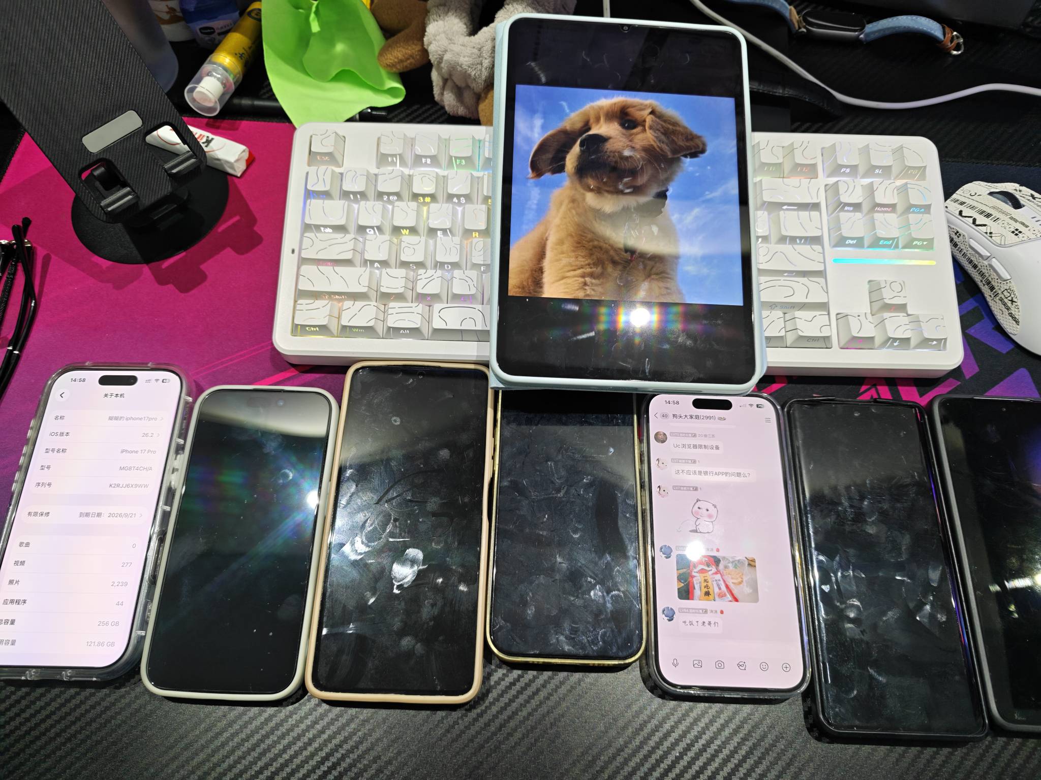 我觉得还是不要带有色眼镜看任何人，就是哪里都有毛，哪里都有钱赚，在这骂别人，在别40 / 作者:狗头优秀 / 