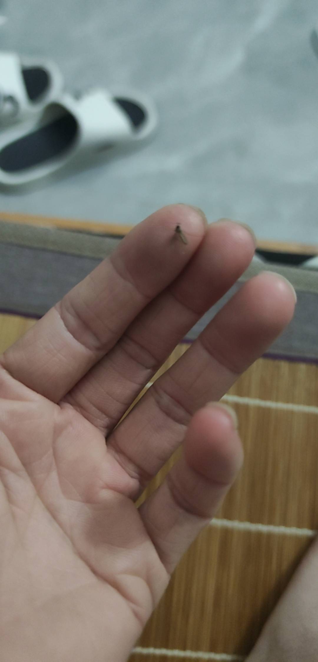 老哥们开饭了

0 / 作者:木子辰 / 