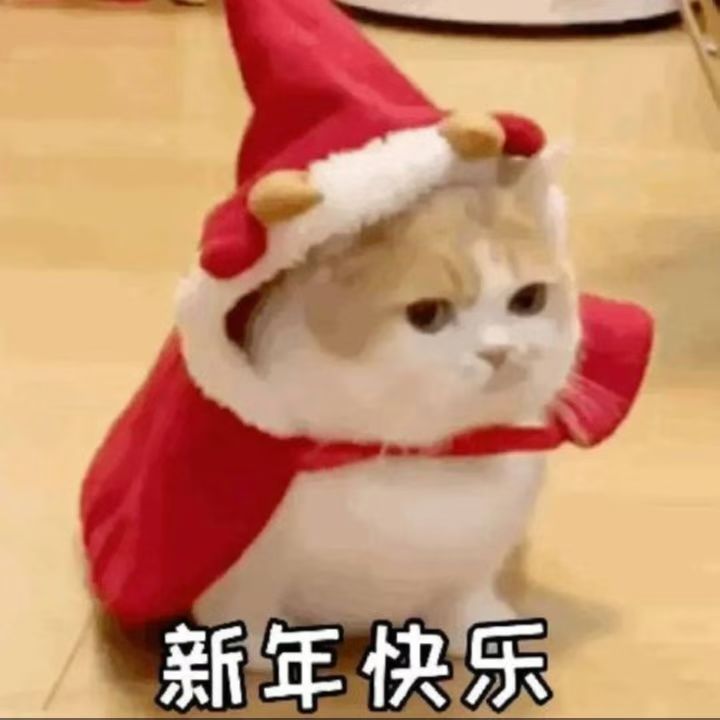 老哥们，连续十天每天早上一杯咖啡，感觉身体代谢加快了，最近三天就有想法了

47 / 作者:天下为私 / 