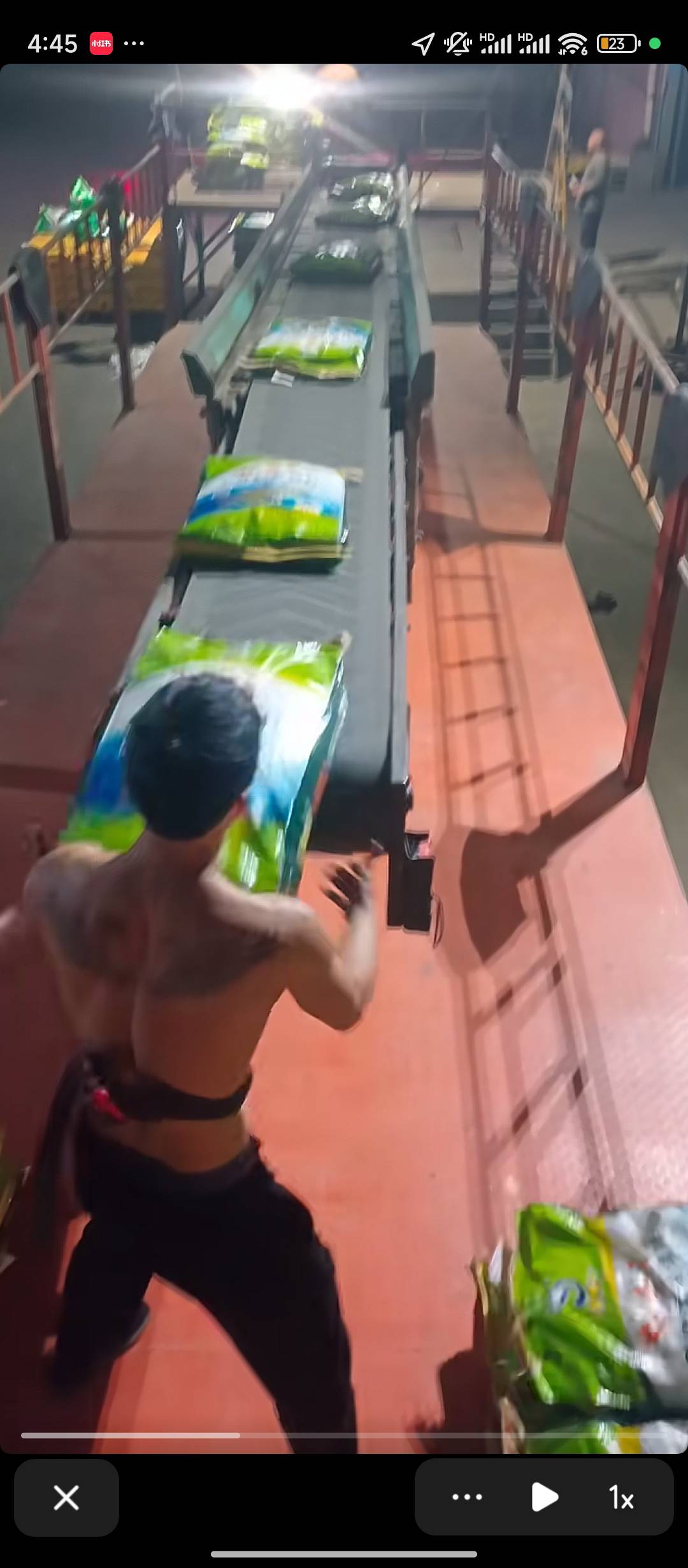 马钞如果取号运气好能卖一百万起步，天选一个老哥十万块钱，直接打你十万块让你挂壁仔81 / 作者:理理理66 / 