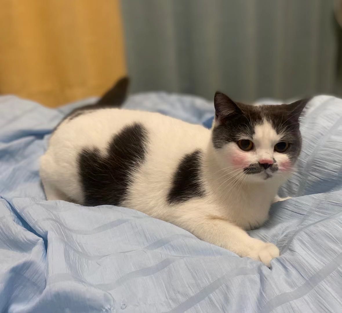 老哥们 哪些证卷可以开2个，一个个注销 太麻烦了

76 / 作者:请前后移动手机 / 