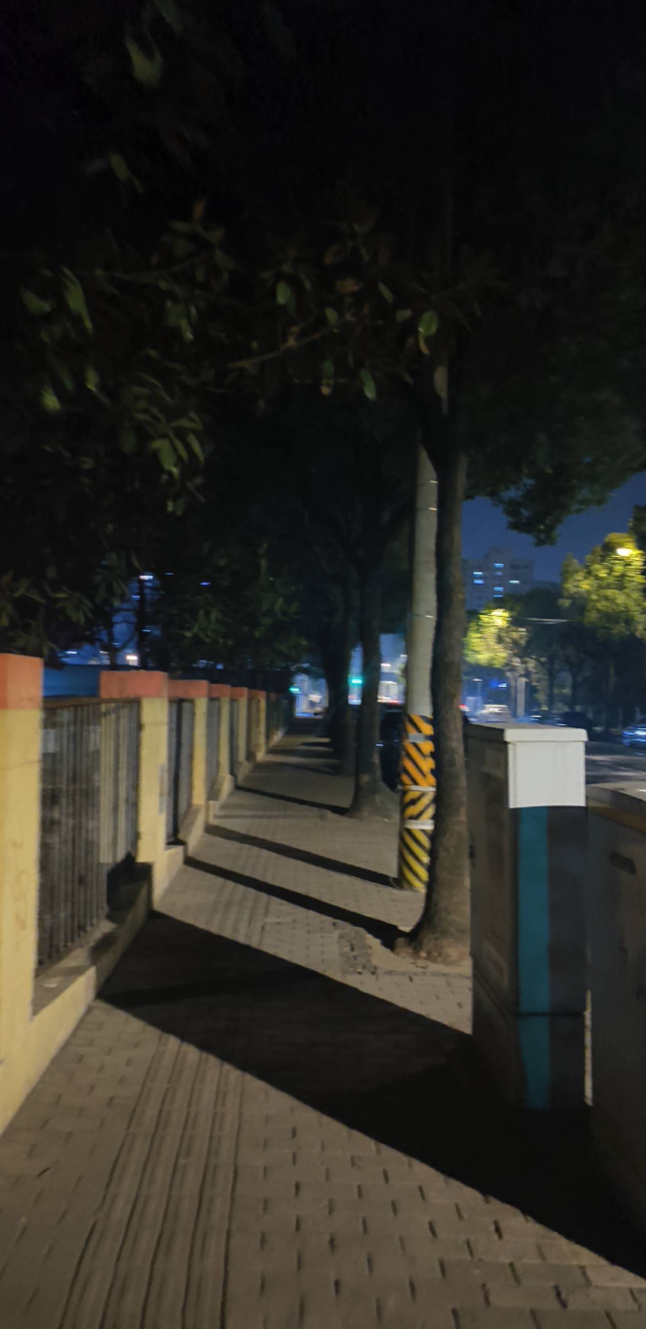 树是绿色的，天又热，桃花都开了，我的梦也要马上实现了！




20 / 作者:昨日过往 / 