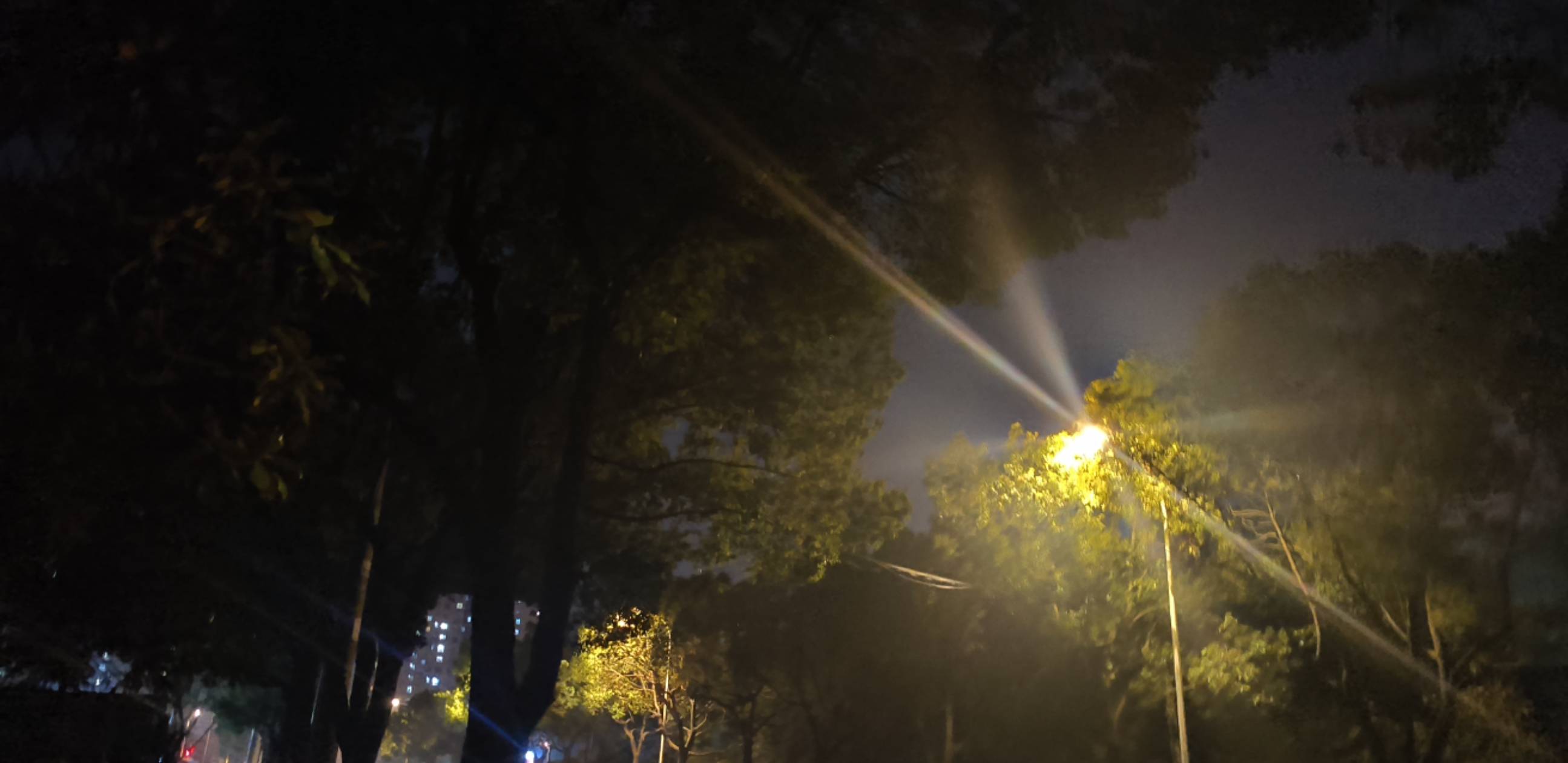 树是绿色的，天又热，桃花都开了，我的梦也要马上实现了！




17 / 作者:昨日过往 / 