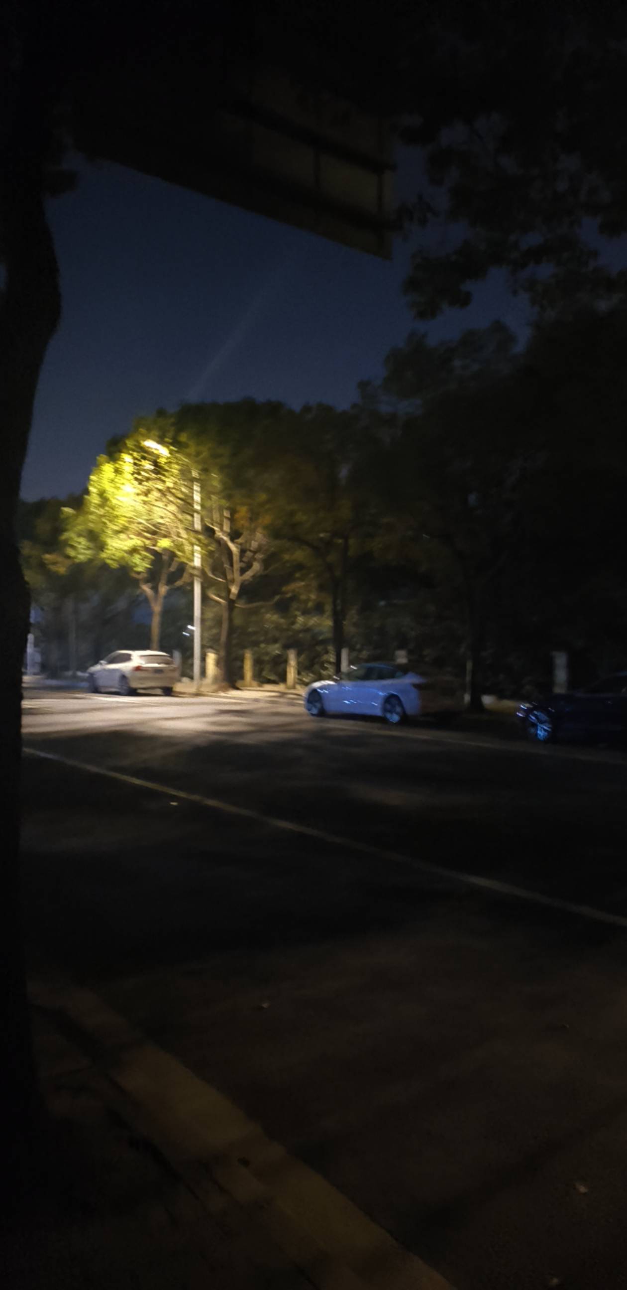 树是绿色的，天又热，桃花都开了，我的梦也要马上实现了！




99 / 作者:昨日过往 / 