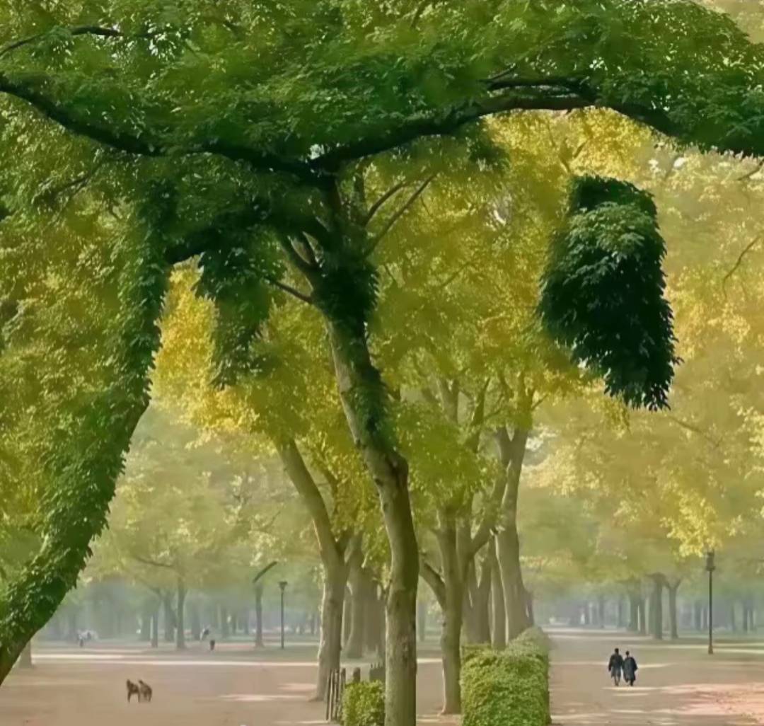 无毛了快睡吧

67 / 作者:XBO222 / 