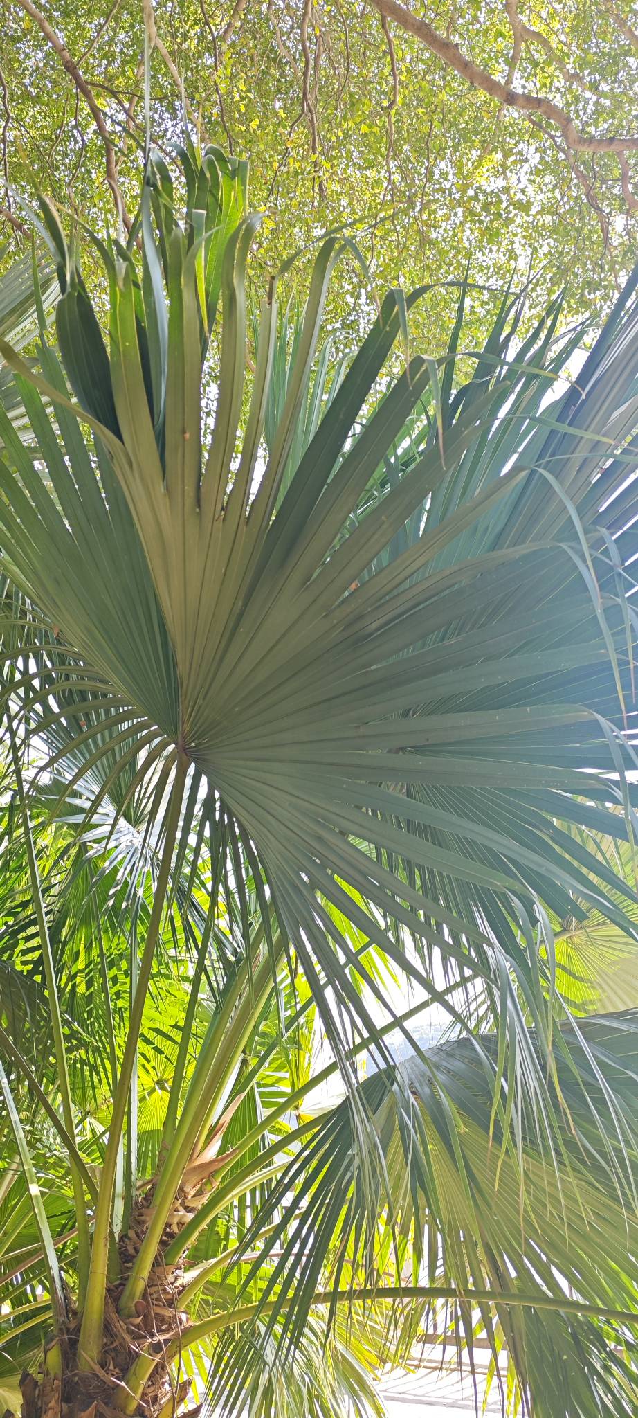 深工能中的是不是都是没被拉黑的？

58 / 作者:卡农豆包 / 