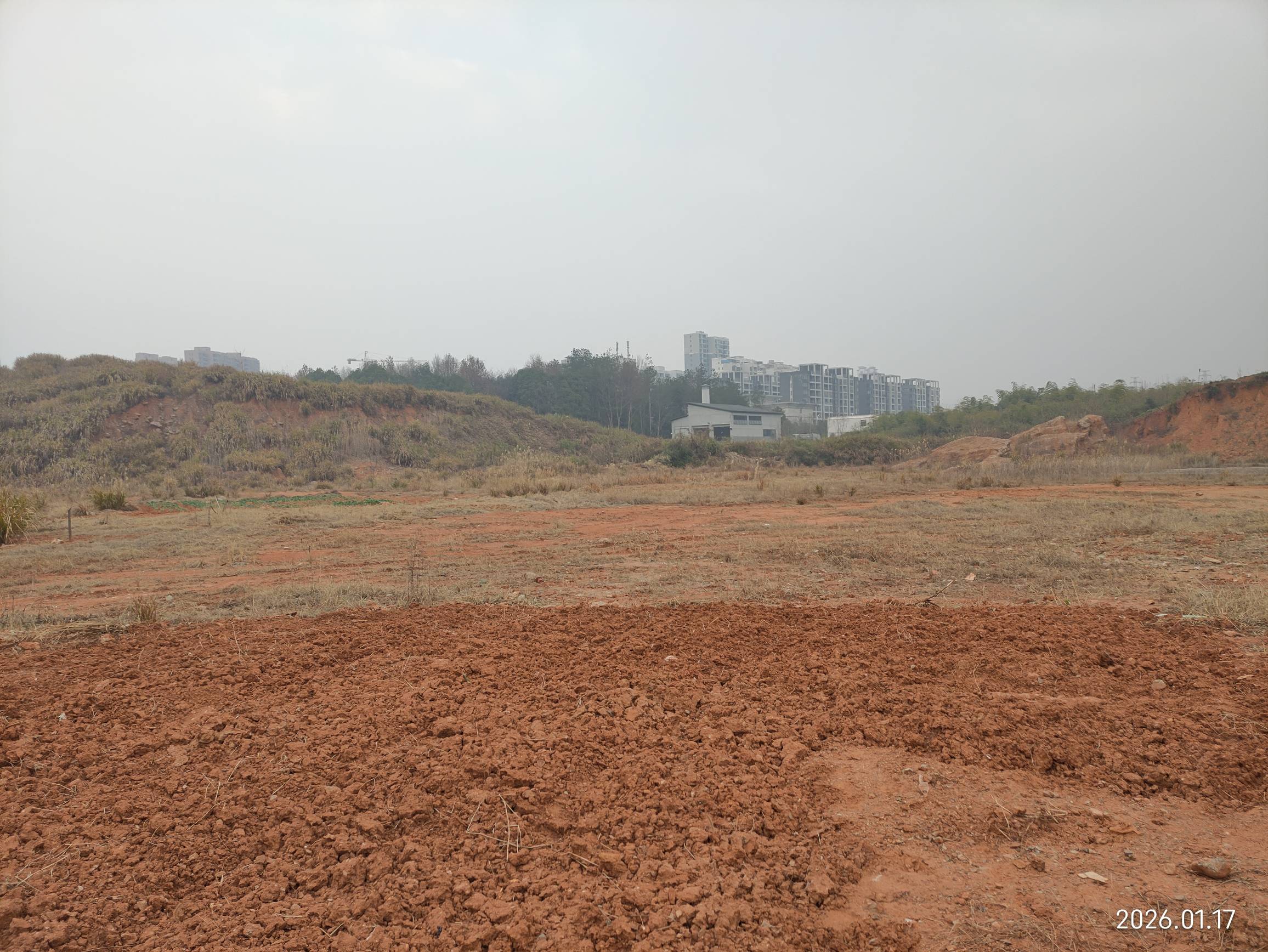 老哥们，十五年前我和三个人合伙共投资5000w拿下的这块地，现在已经荒废了，



23 / 作者:红菜苔 / 