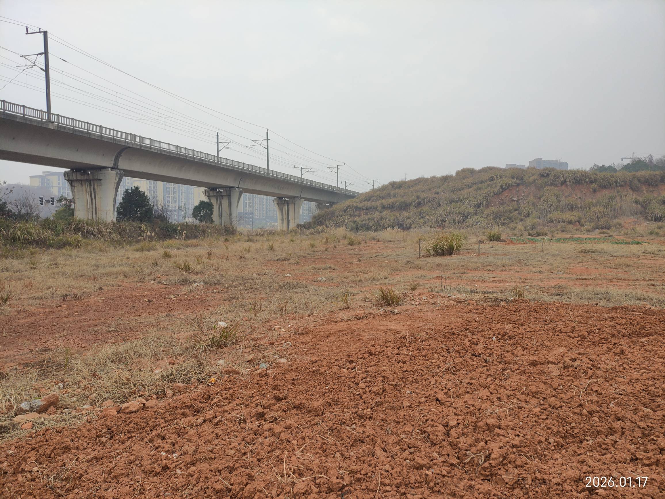 老哥们，十五年前我和三个人合伙共投资5000w拿下的这块地，现在已经荒废了，



0 / 作者:红菜苔 / 