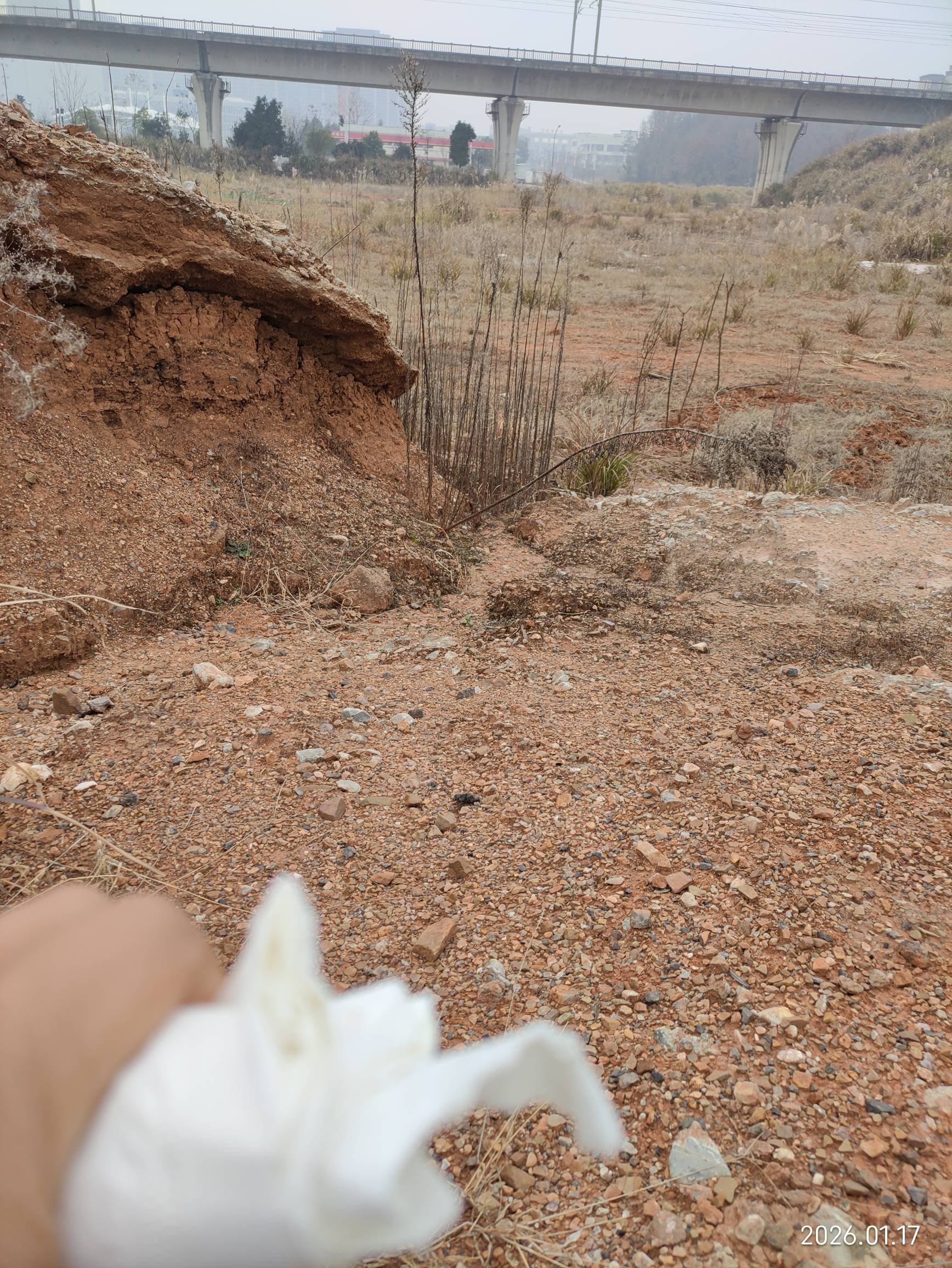 老哥们，投资5000w的地荒废了，现在只能蹲在这里拉屎了


86 / 作者:红菜苔 / 