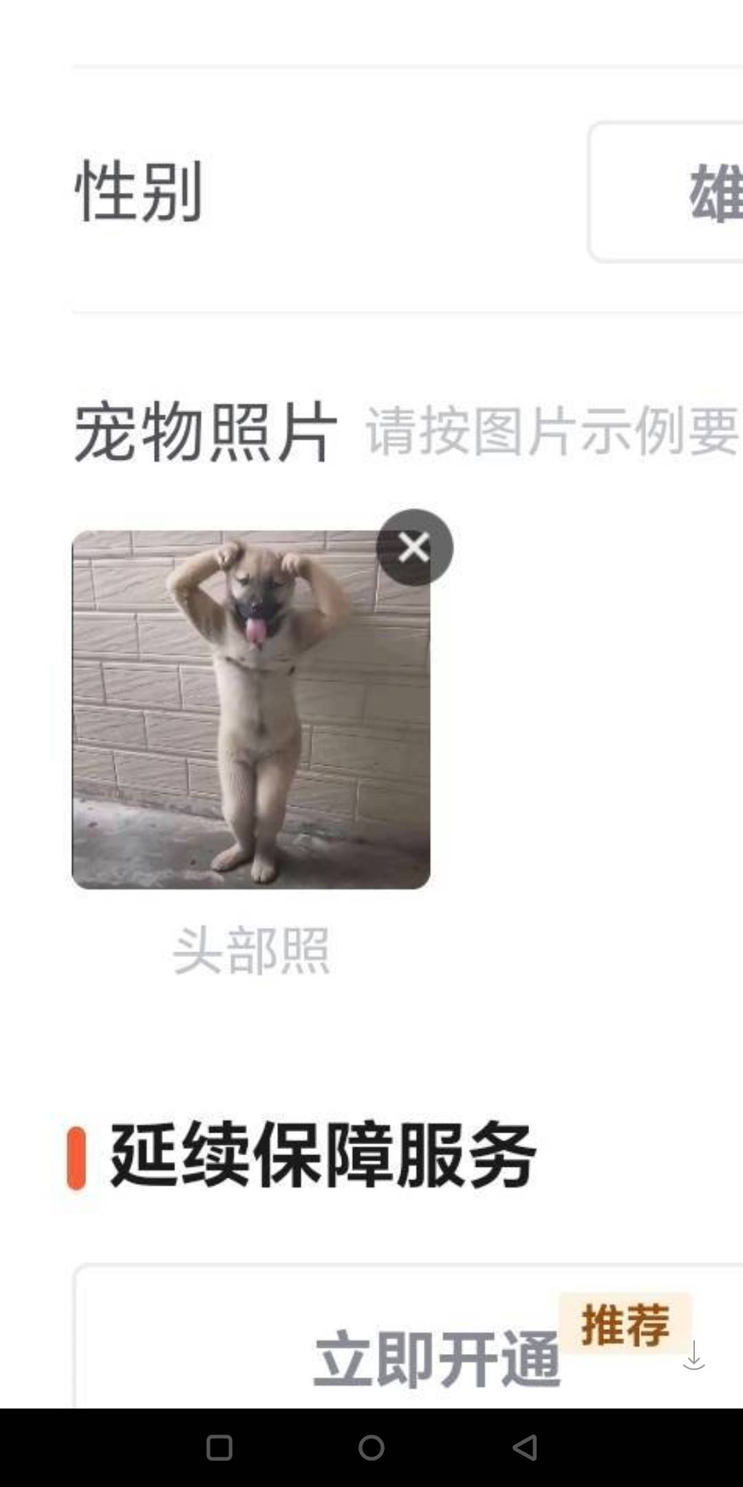 老哥们，谁有这个图借用一下

65 / 作者:还是躺下了 / 