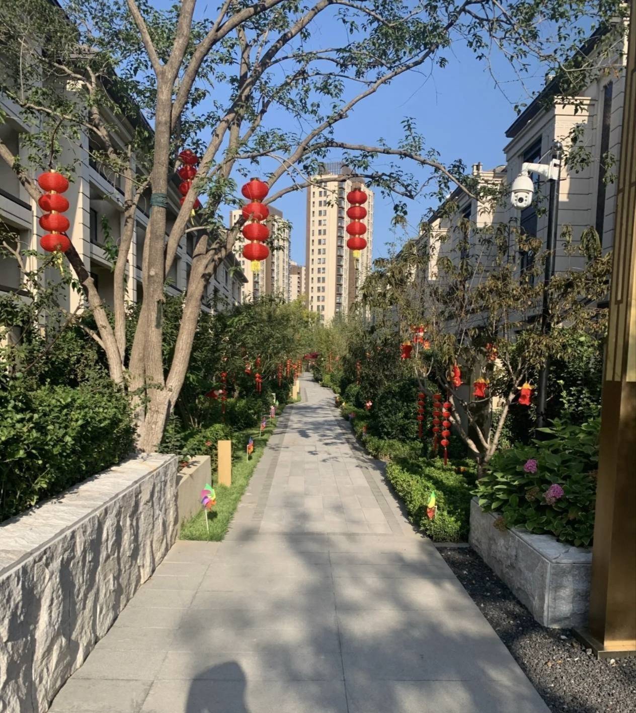 江西，新疆，宁波，福州，河北，四川，贵州都毕业了，还能去哪？

72 / 作者:广东移动客服 / 