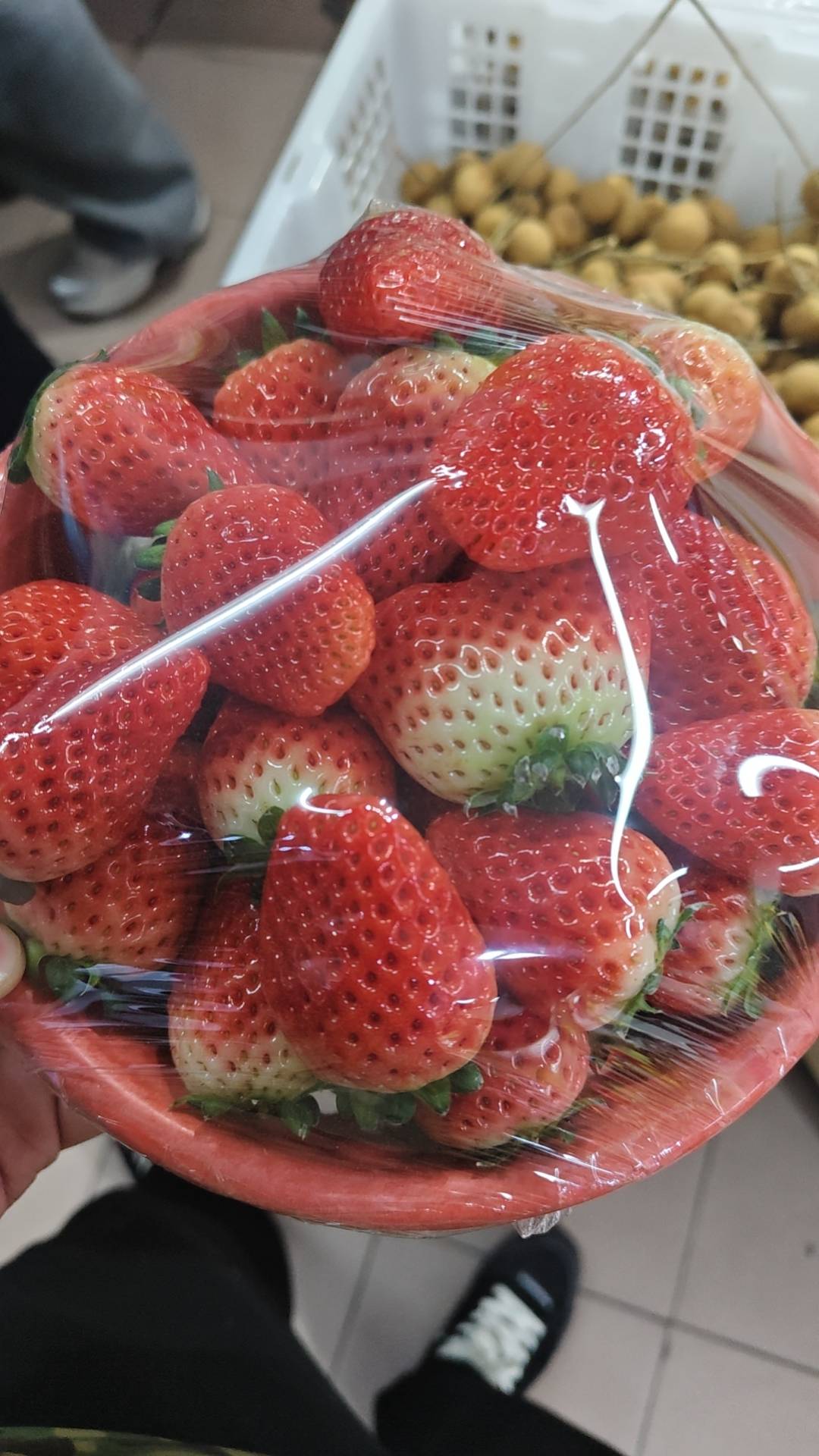 老哥们，京通联想电脑券，现在什么价格行情？

24 / 作者:小屎 / 