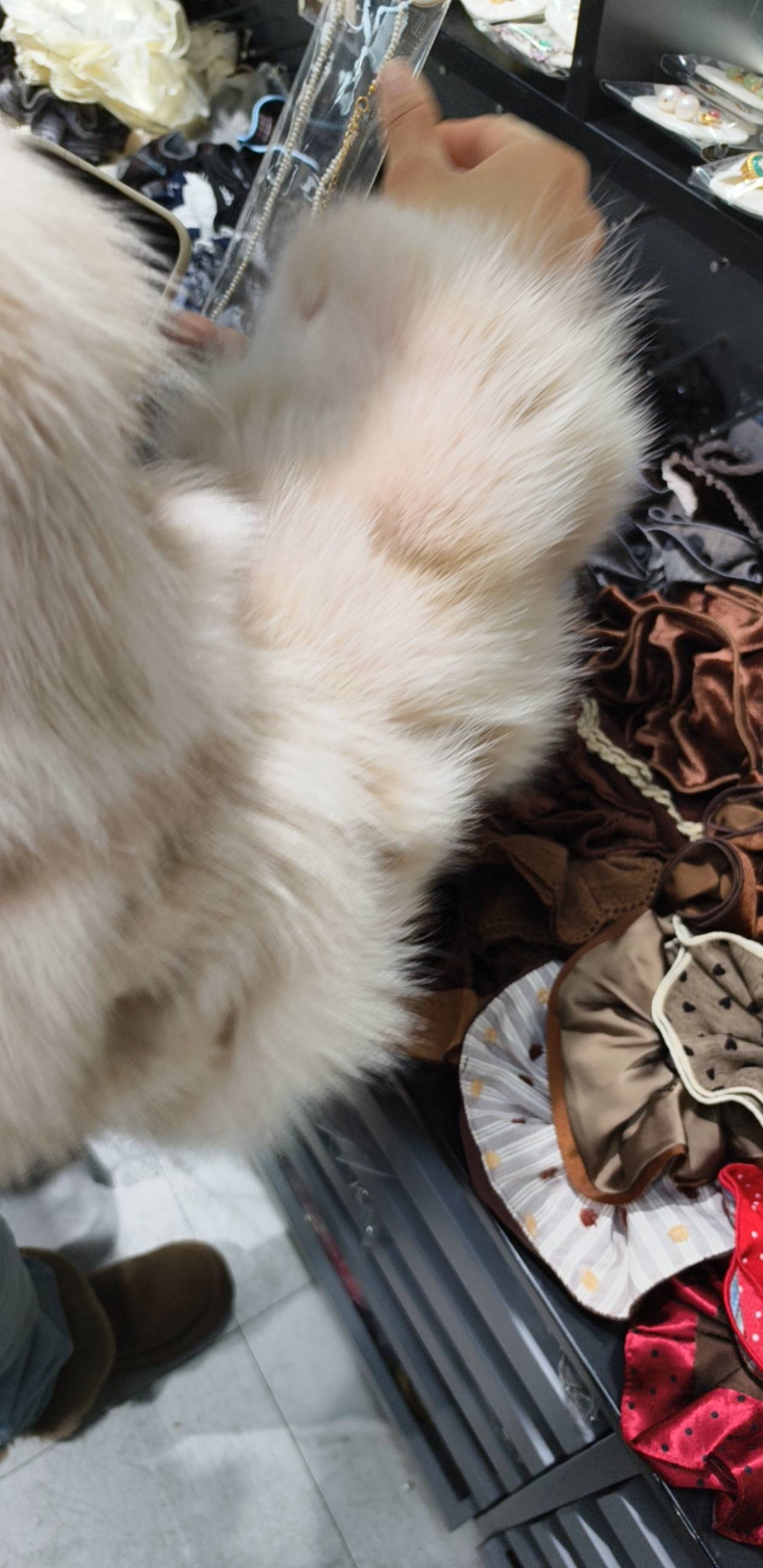 这是女人

7 / 作者:昨日过往 / 