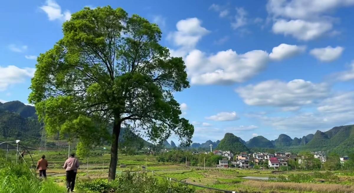 过年过节回农村住几天就得了，聚一起吃个饭见个面啥的。待不住还是觉得城里好

96 / 作者:凤鸣 / 