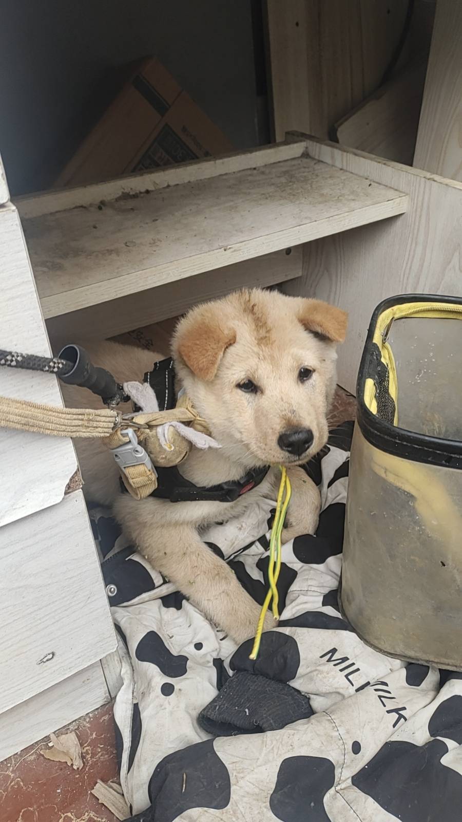 搞京通的第七天

79 / 作者:要辩难辩 / 