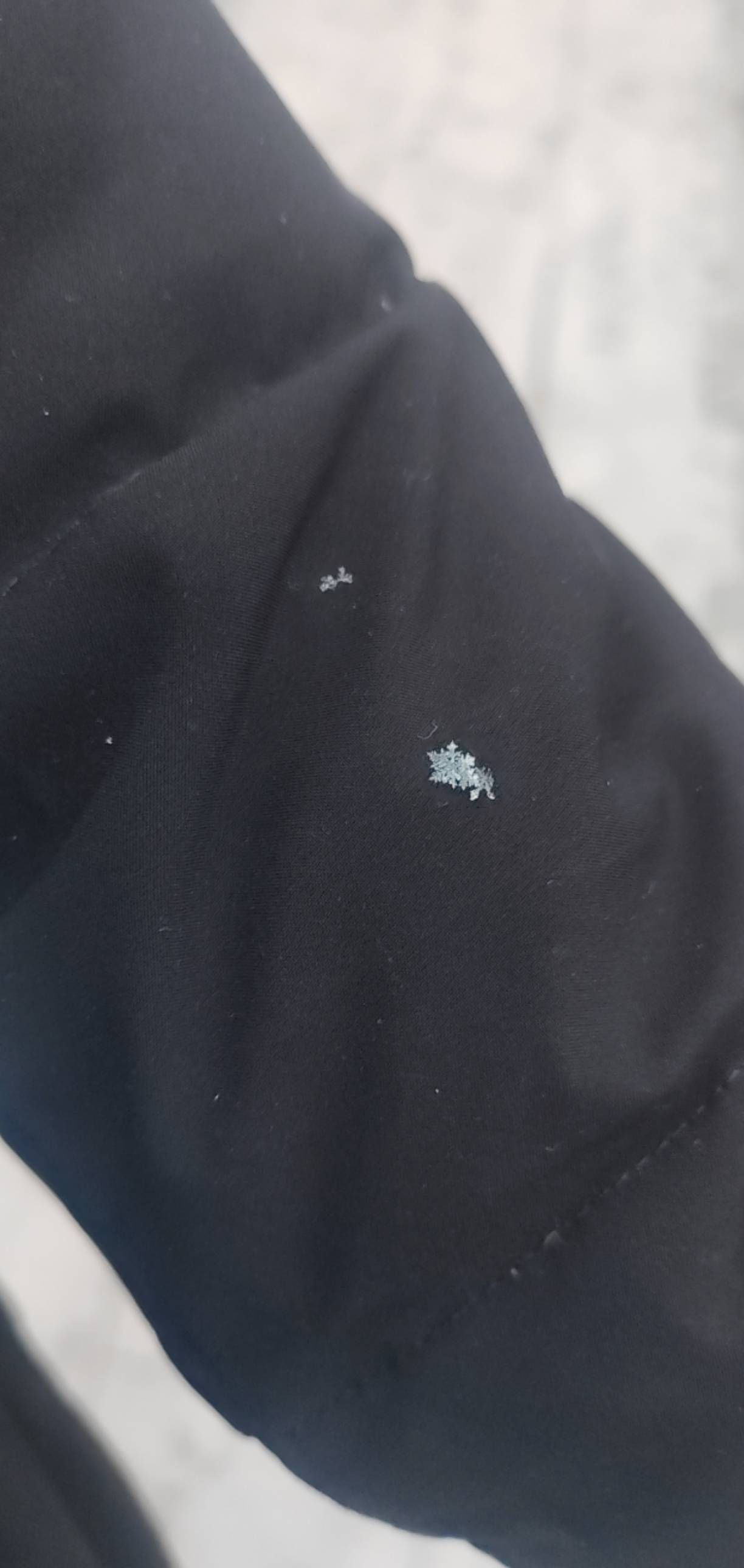 每一分钱都不容易挣，上海没见过这么大的雪了，鹅毛大雪
11 / 作者:★举重冠军高坚果★ / 