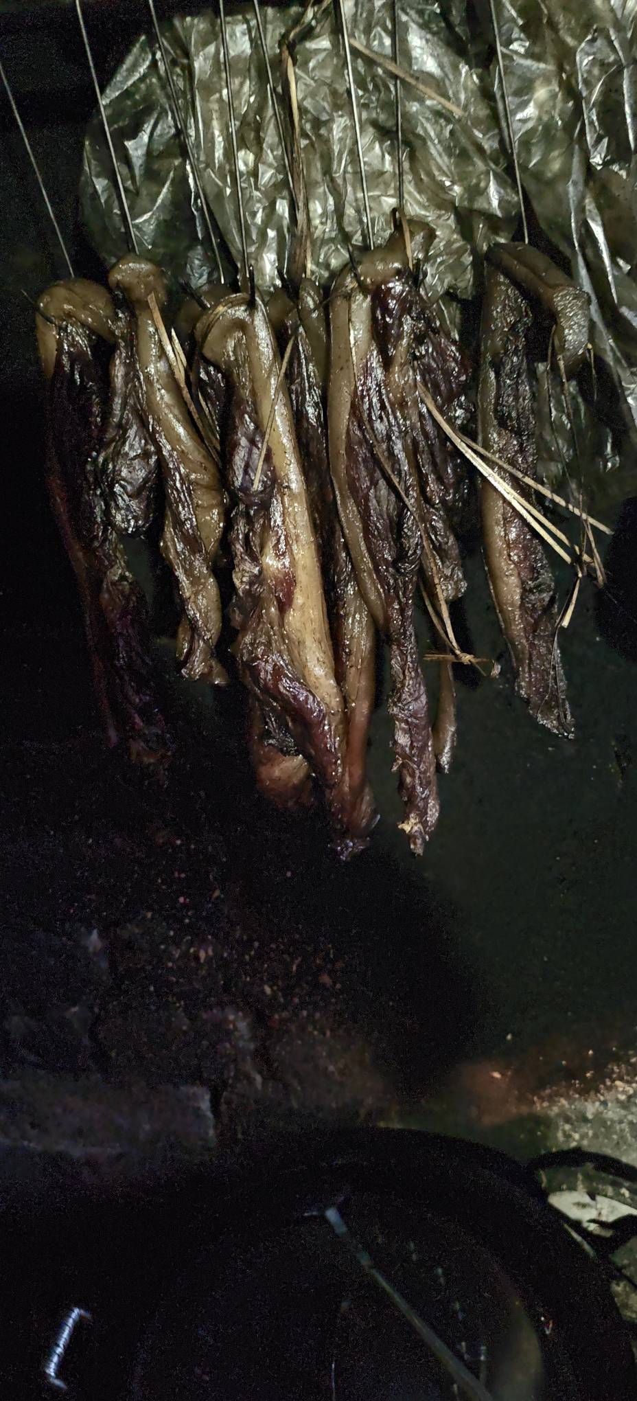 老哥们，鲜衣怒马，此间少年，不负韶华

25 / 作者:李优 / 