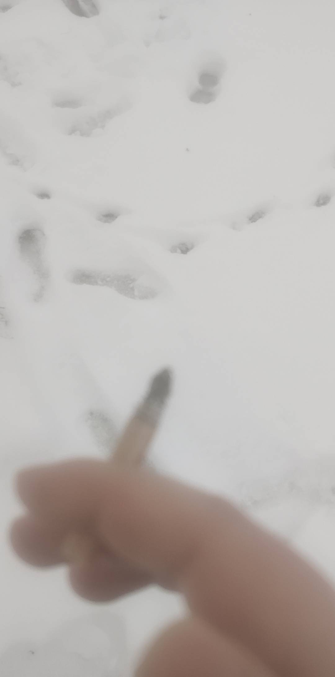 冷啊

10 / 作者:turbo小宇宙 / 