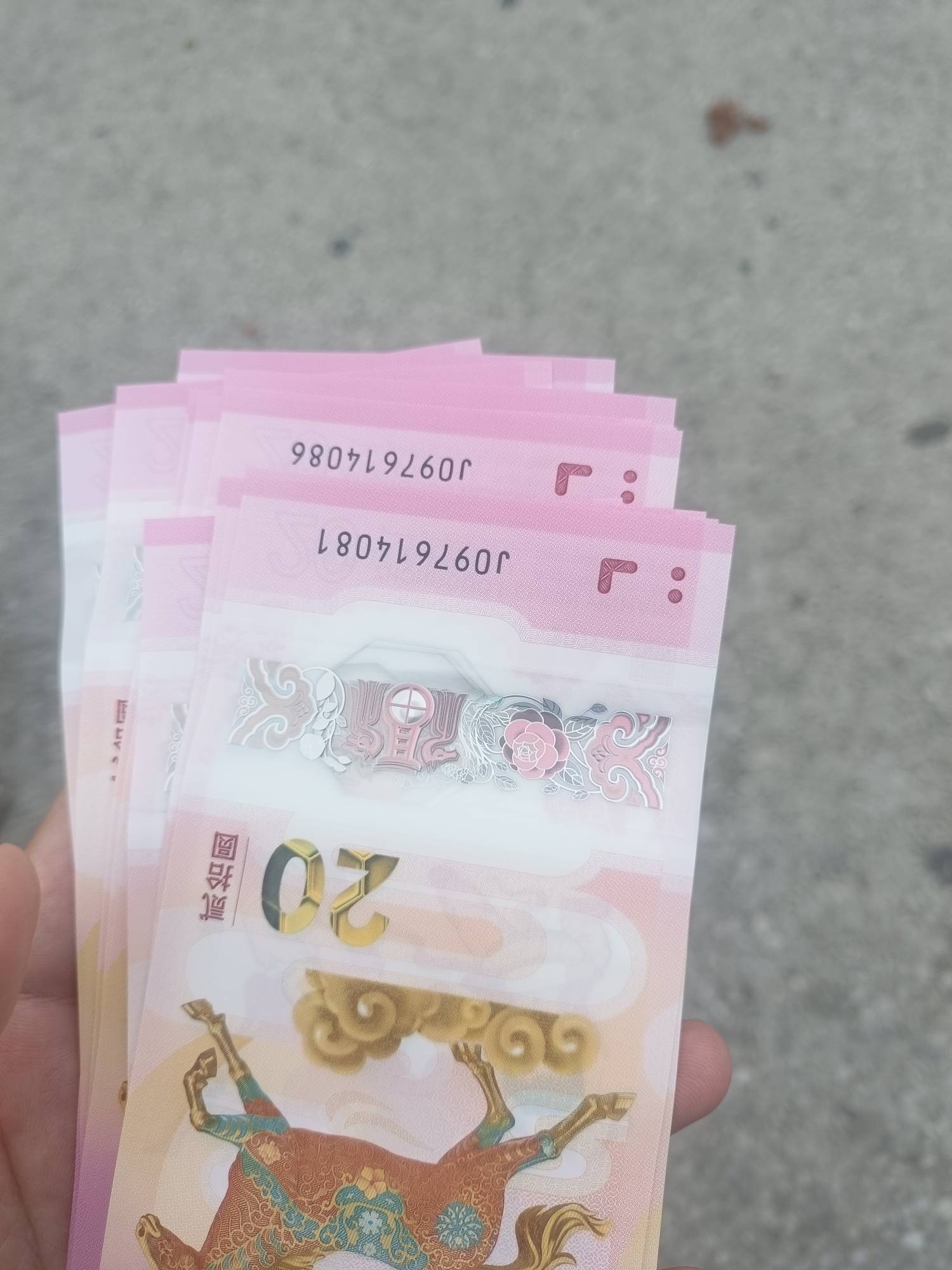 东莞真是废废的，每年都是如此

46 / 作者:fyfghgf / 