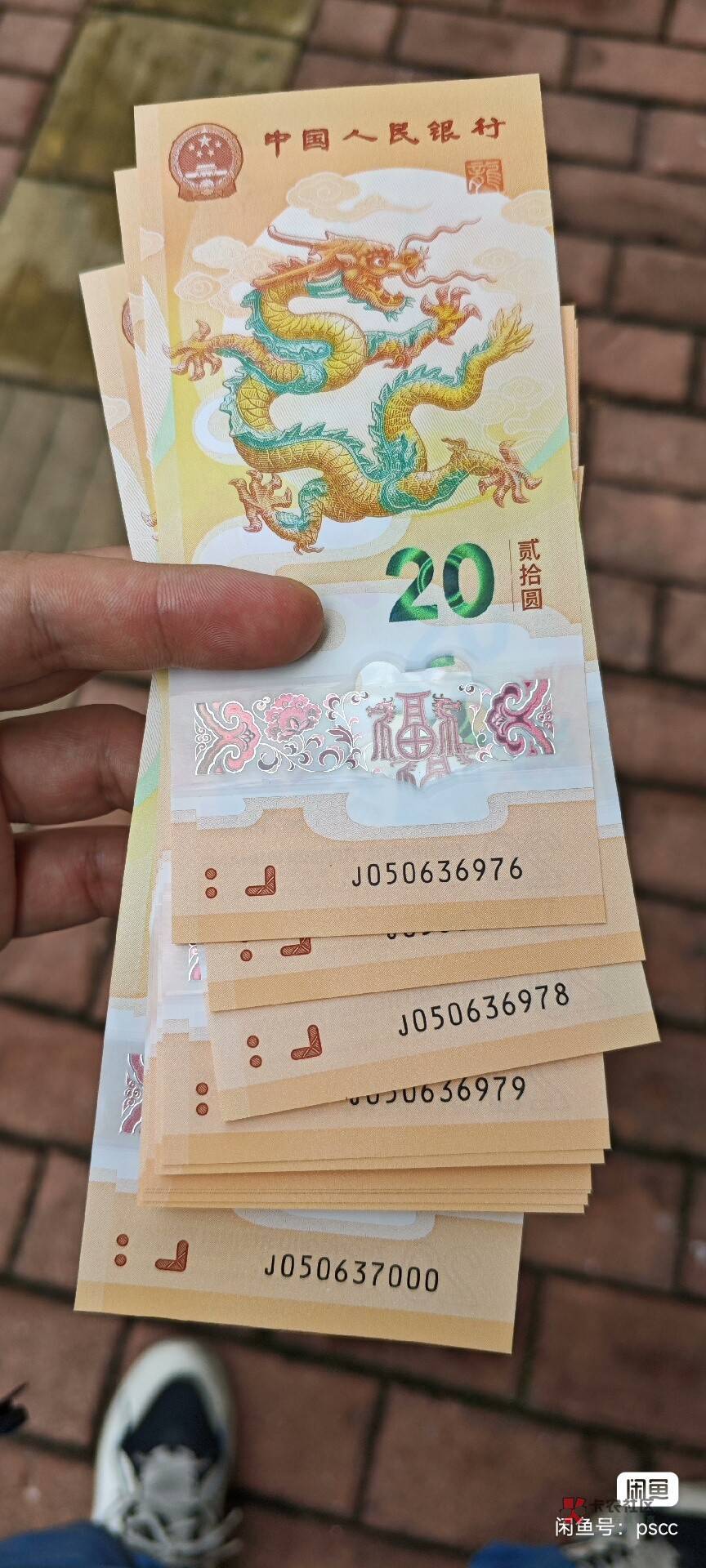 过了今晚,就不要再讨论什么纪念币,老农工资单,养老金.bug领,大妈野鸡飞,中行换预53 / 作者:卡农豆包 / 过了今晚,就不要再讨论什么纪念币,老农工资单,养老金.bug领,大妈野鸡飞,中行换预53 / 作者:卡农豆包 /