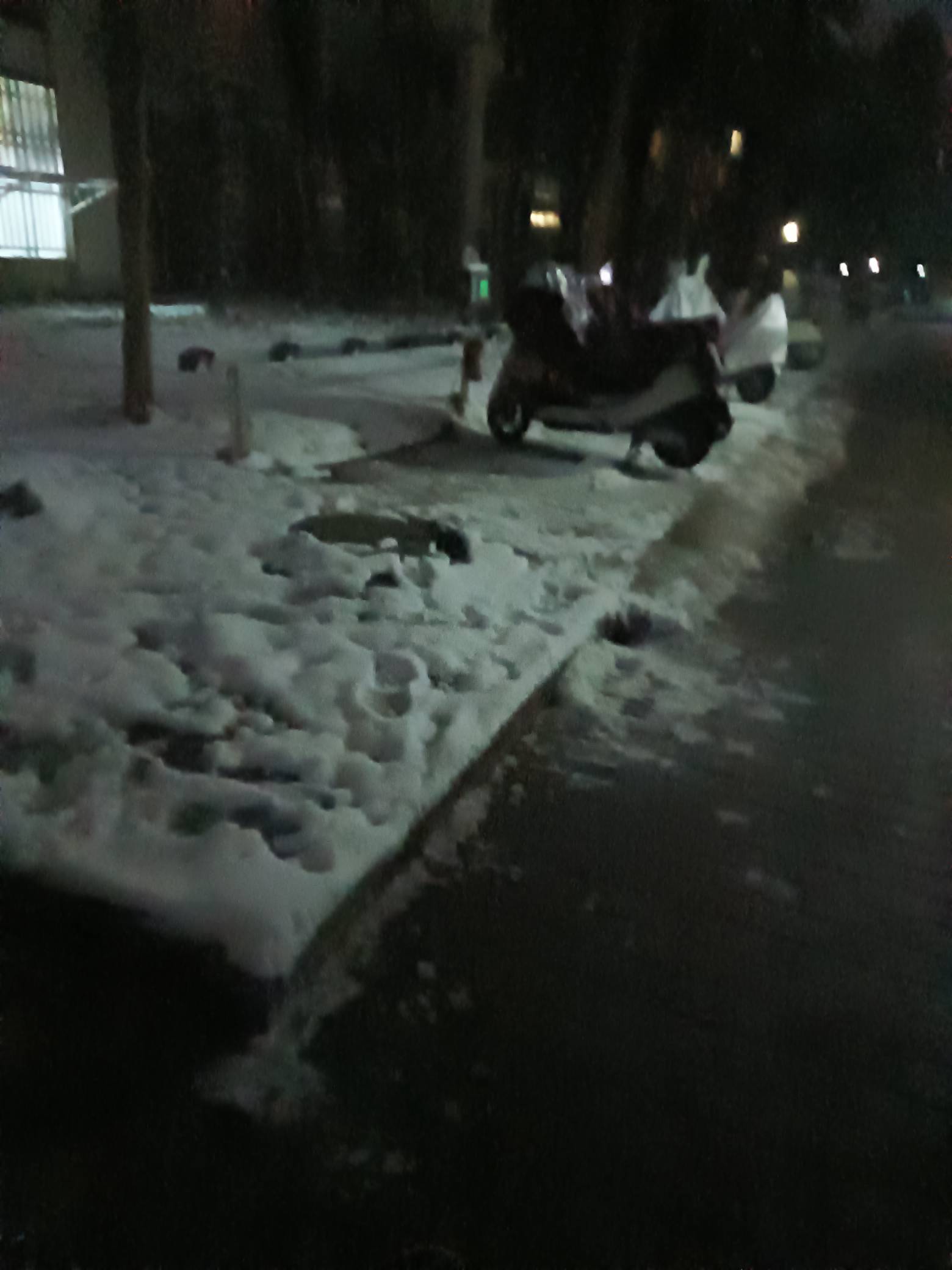 又冷又饿 没有一个好心老哥救我

31 / 作者:卡农鼻祖 / 