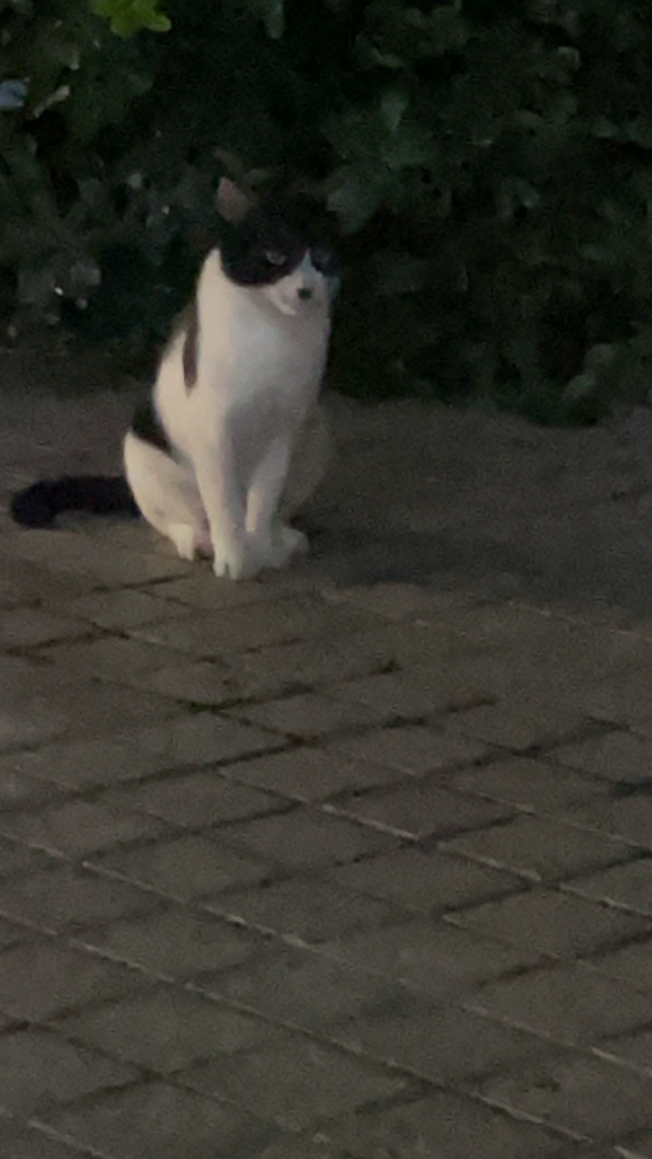 献血不过，血压高了

16 / 作者:溜达发财 / 