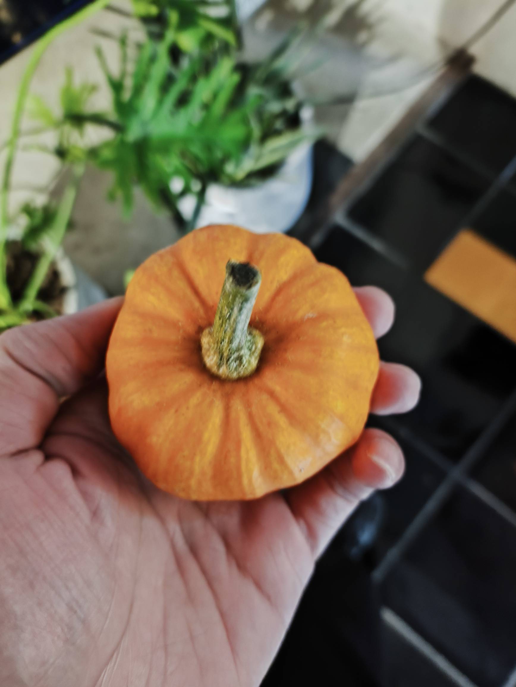 有没有上海的老哥一起组队去汤泉上班，工资6500到7000，包吃住，又暖和还可以泡澡！

16 / 作者:阿祖888 / 