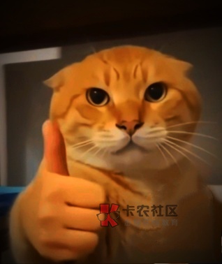 (卡农废物真还转)
人最恐惧的就是面对自己,自己的比较废,跟别人啥啥都比不了,还65 / 作者:林星瑶 / (卡农废物真还转)
人最恐惧的就是面对自己,自己的比较废,跟别人啥啥都比不了,还65 / 作者:林星瑶 /