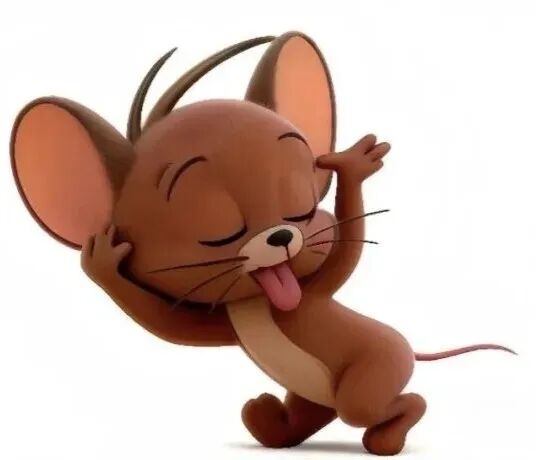 我什么毛都特邀，申请一发睡觉了

22 / 作者:果然一道 / 