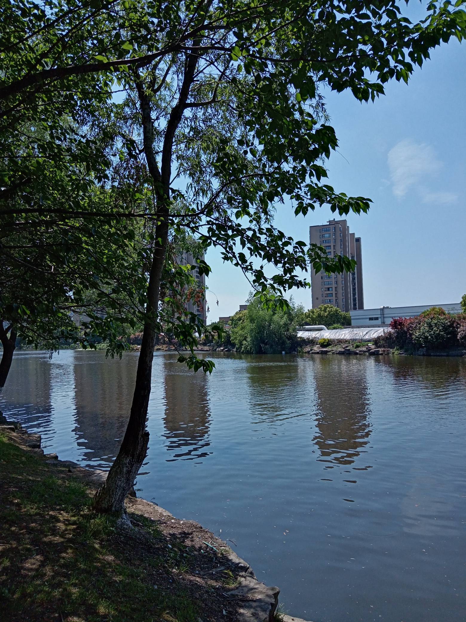 老哥们，回家过年用的iqoo抽的红塔山穿的并夕夕100买的三件套会不会很丢人？

81 / 作者:挂壁仔等着吃饭 / 