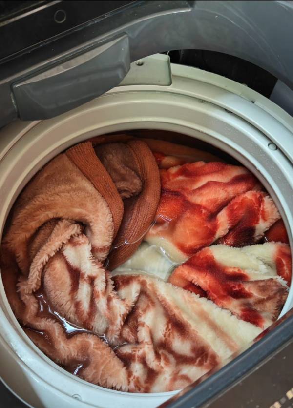 出事了，省被把洗衣机干报废了，关键还掏不出来哎

16 / 作者:凤鸣 / 